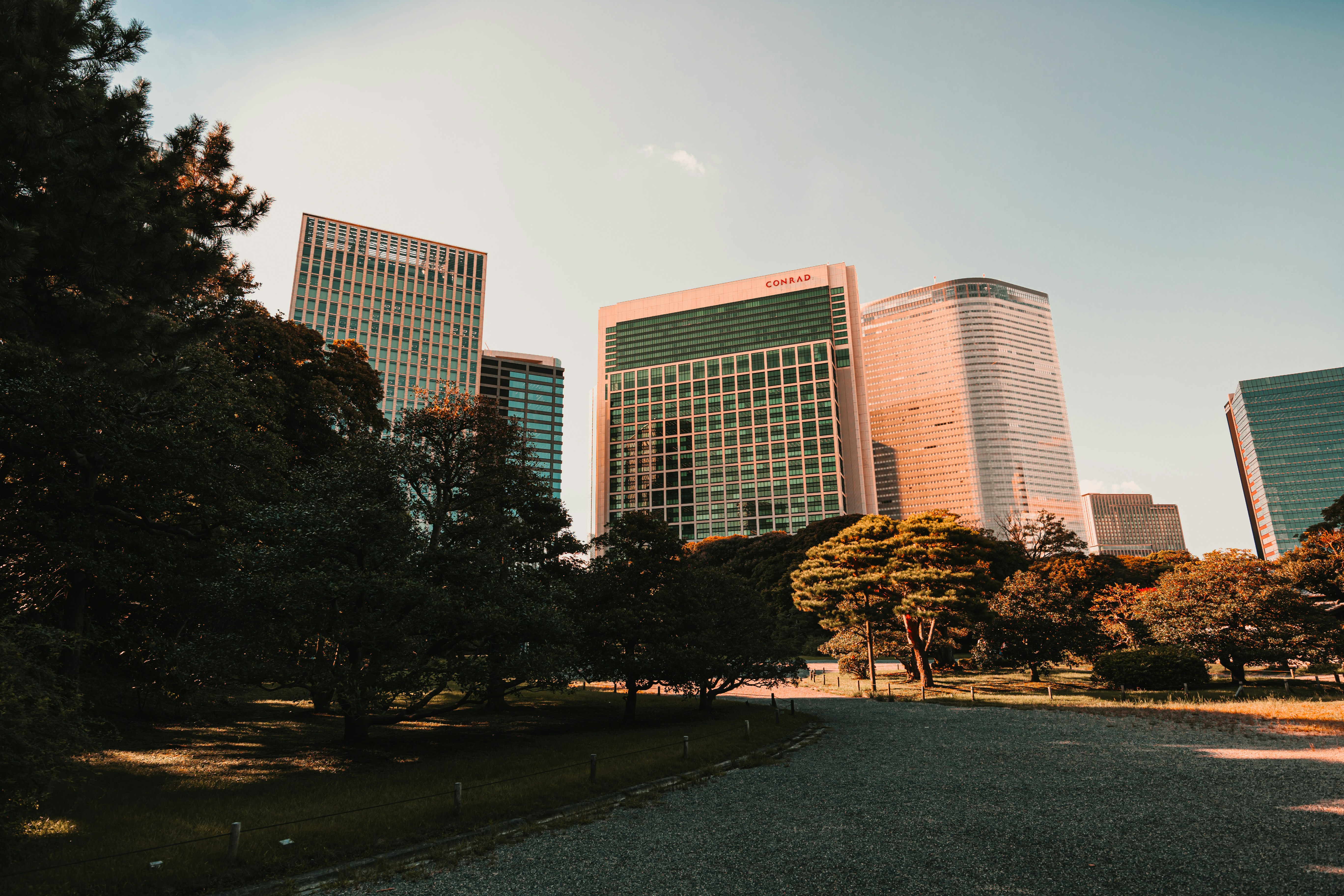 Photo by dariendesigns