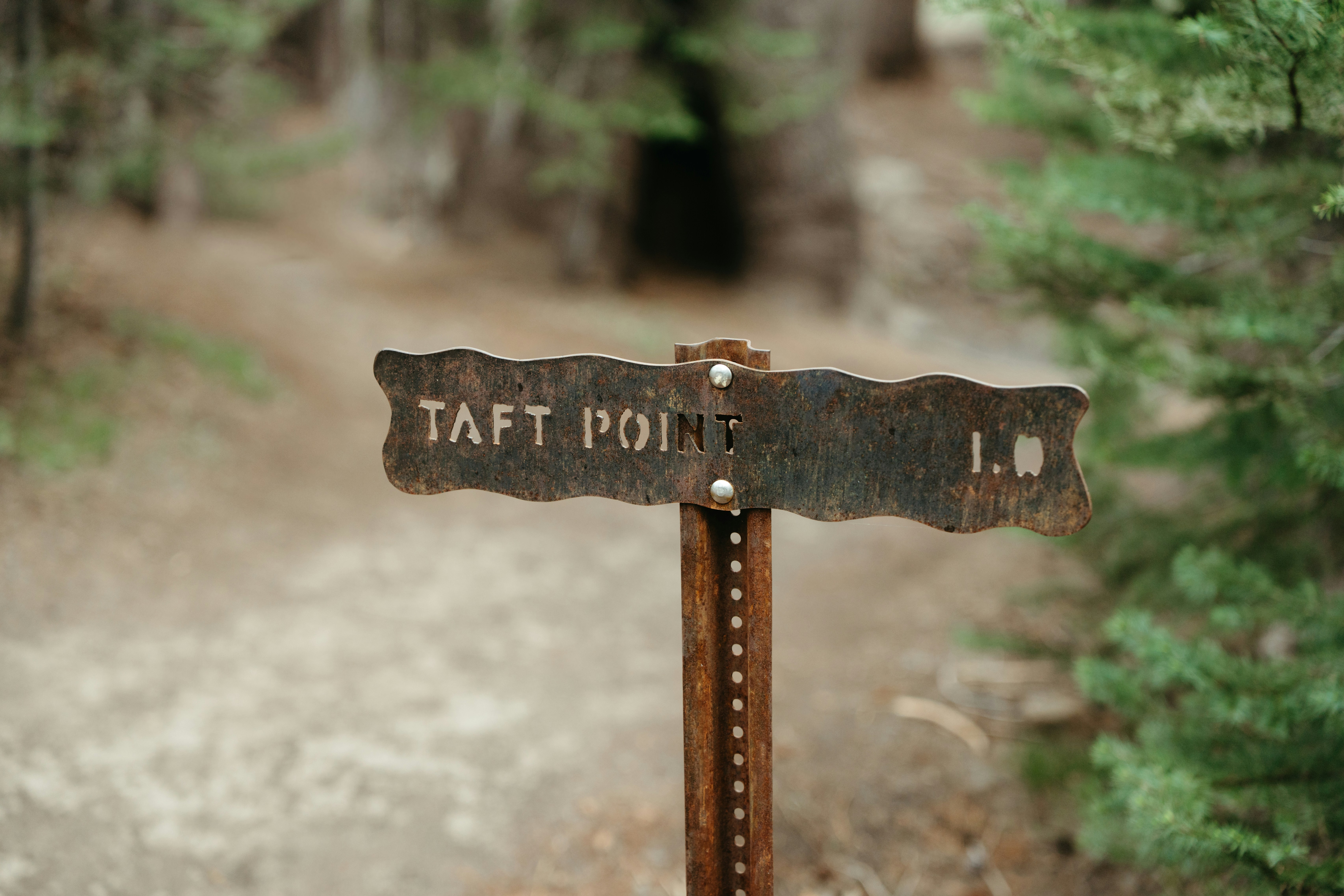 Rusty sign points to taft point in forest