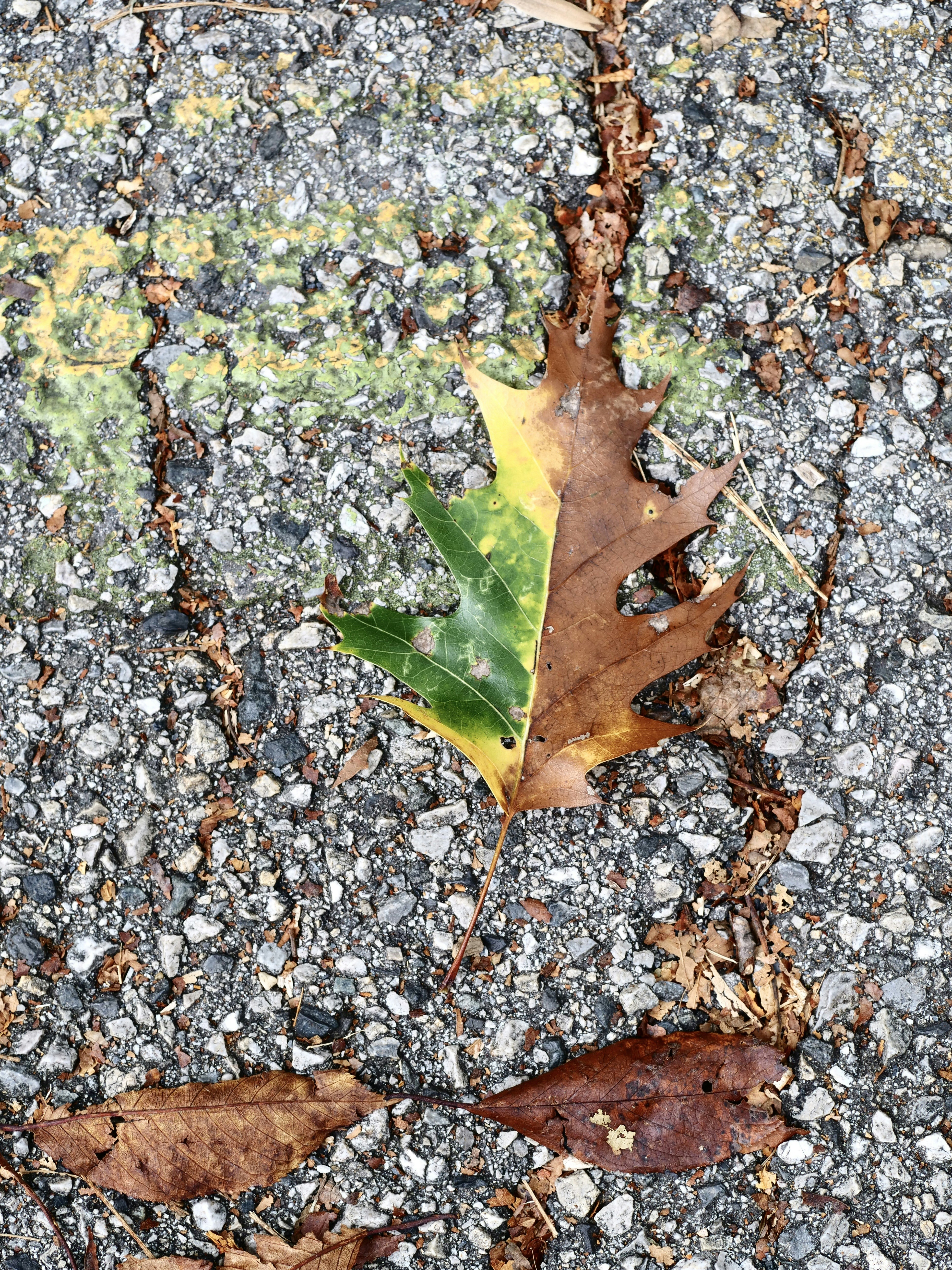 Photo by sschusterphotoart