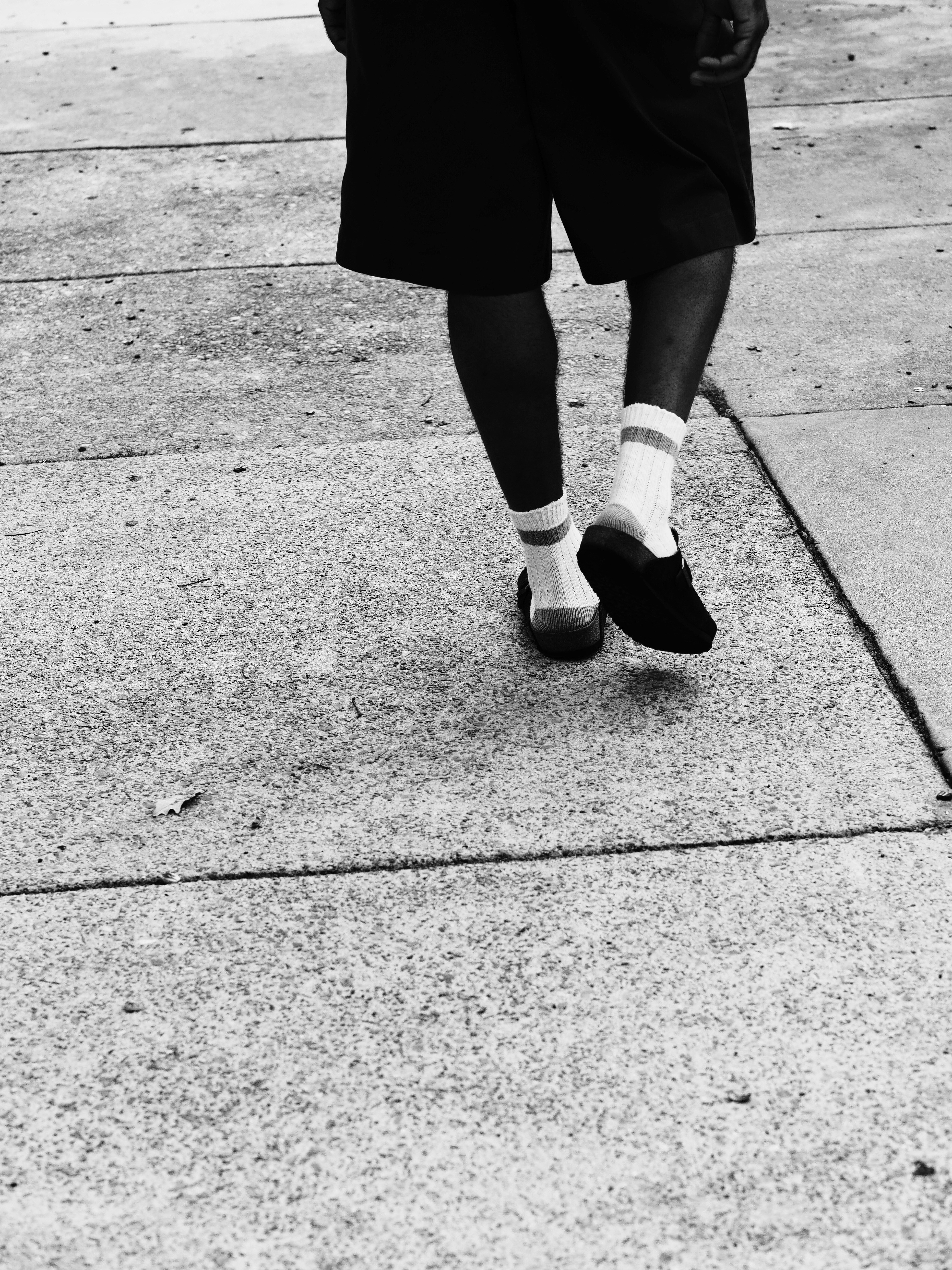 Photo by sschusterphotoart