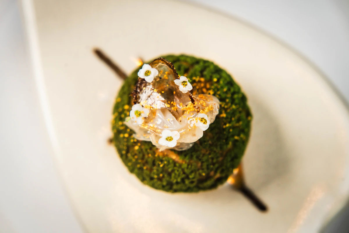 Seven courses, one season