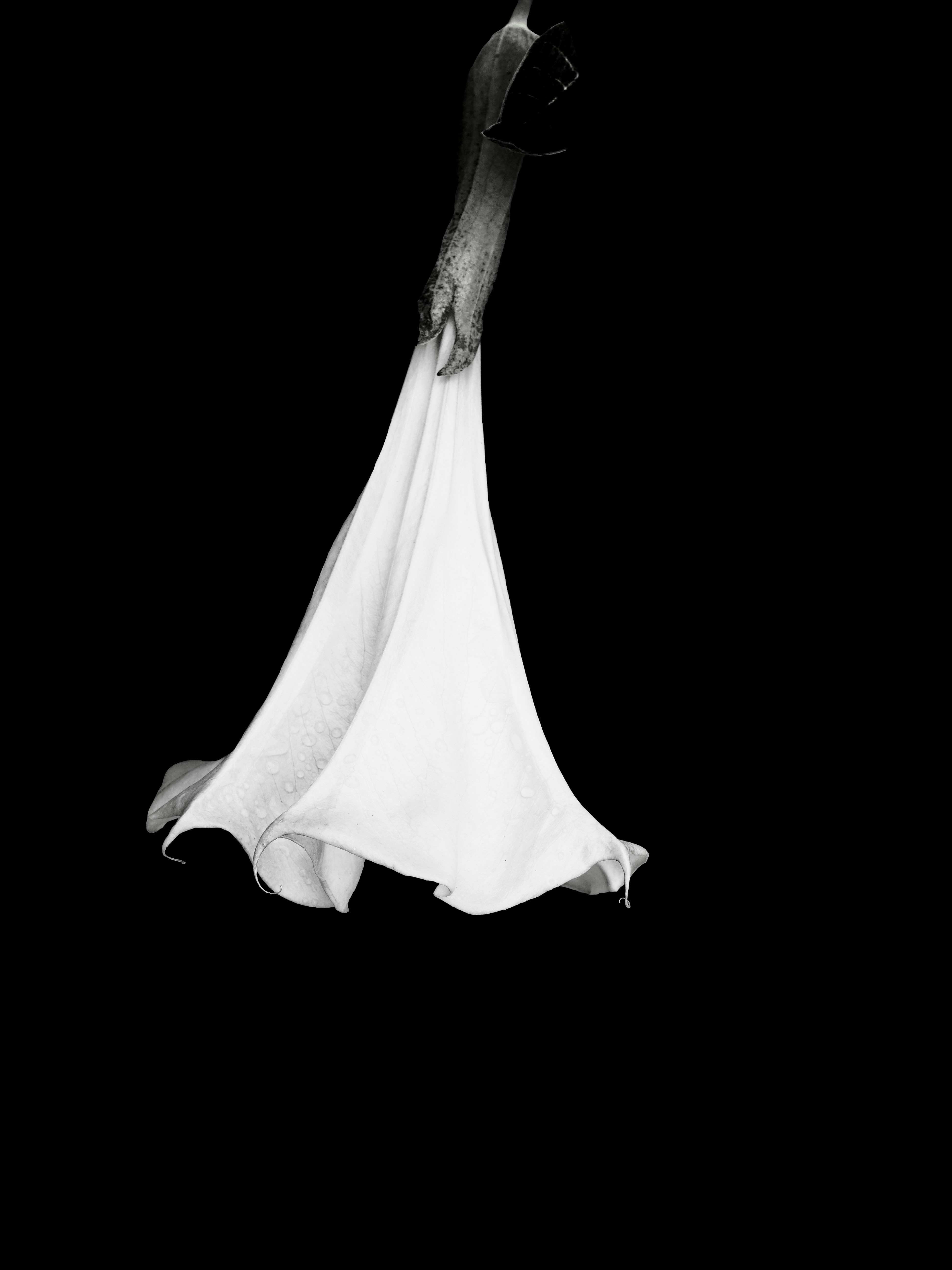 Photo by sschusterphotoart