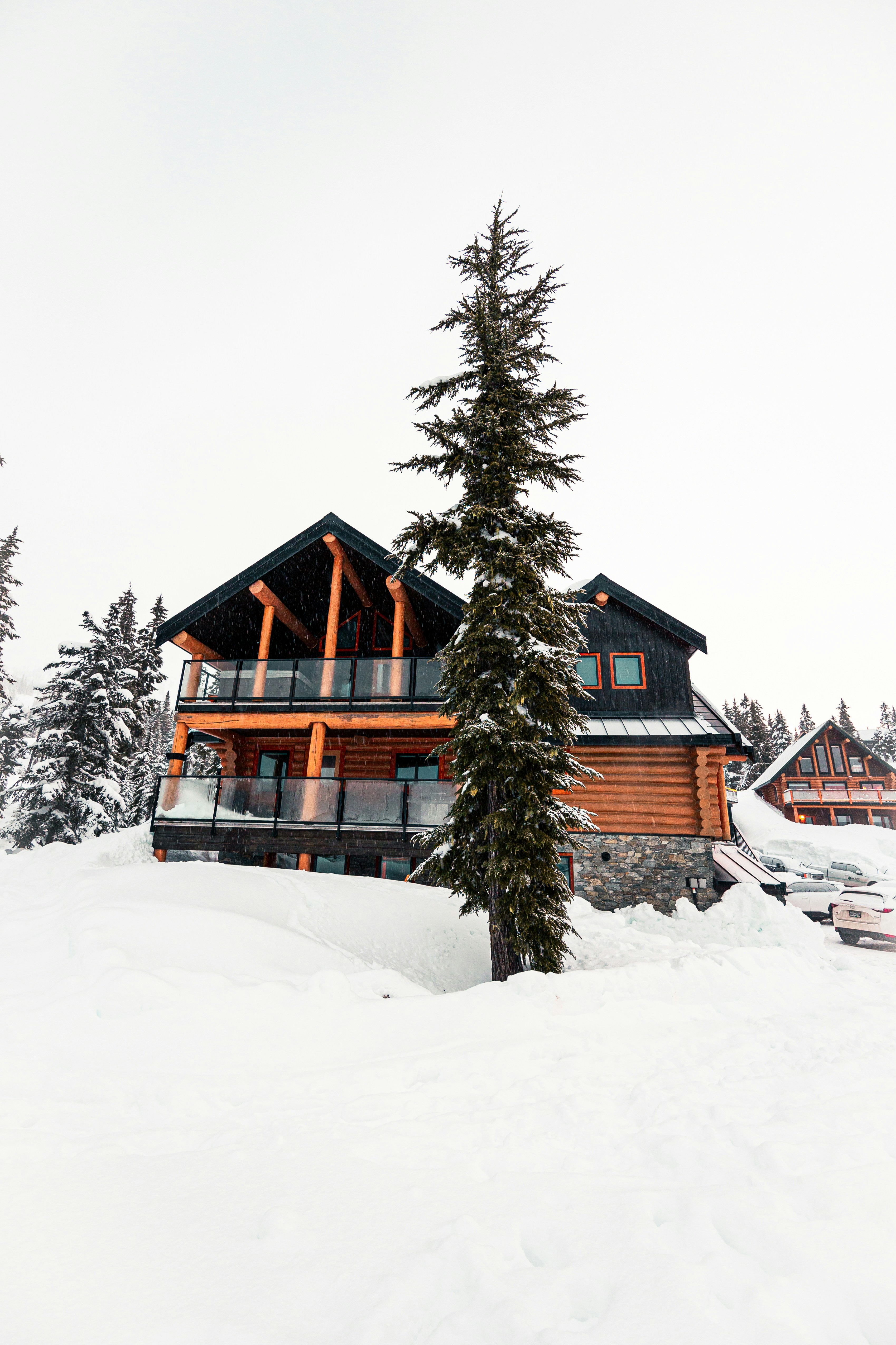 Photo by dariendesigns