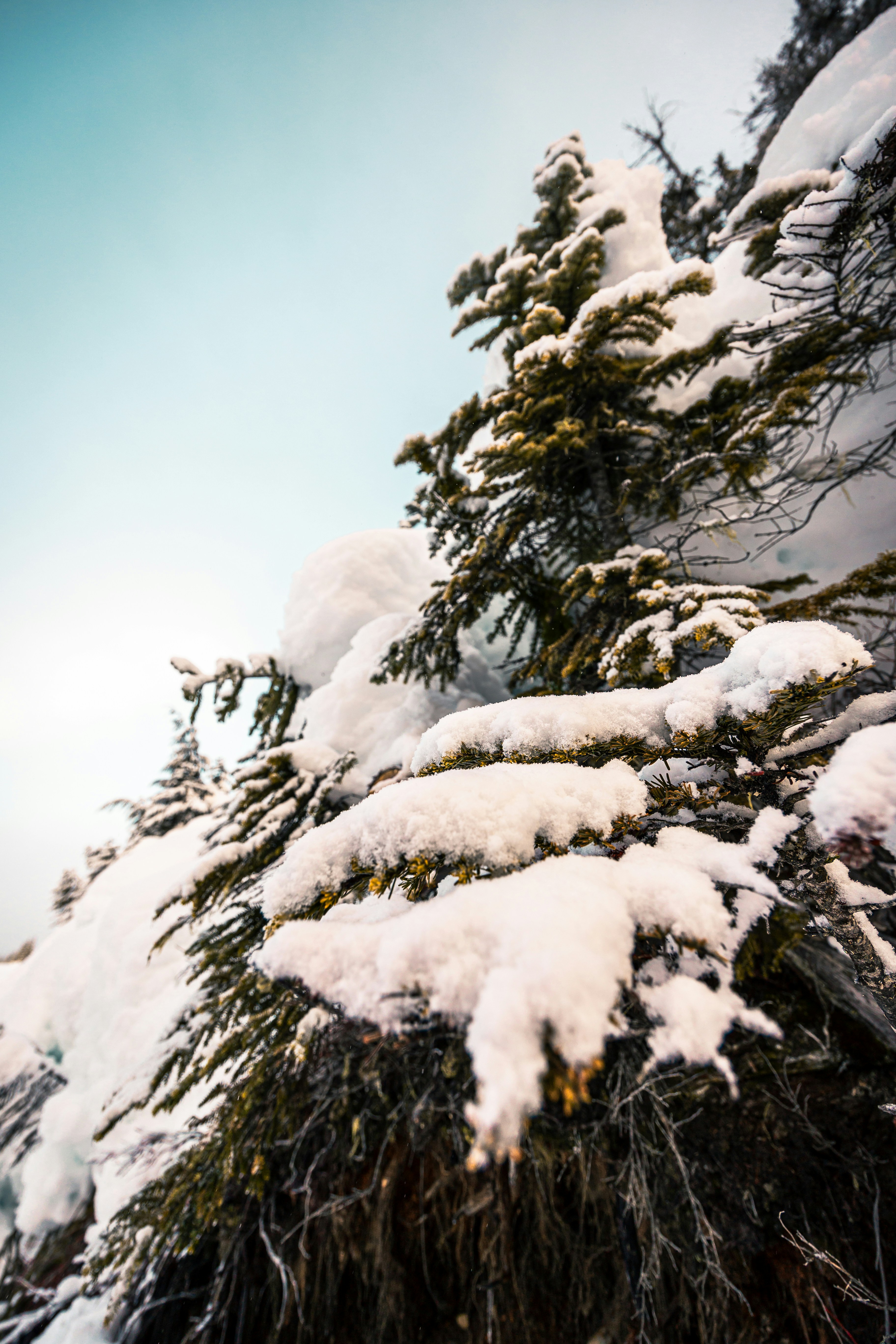 Photo by dariendesigns