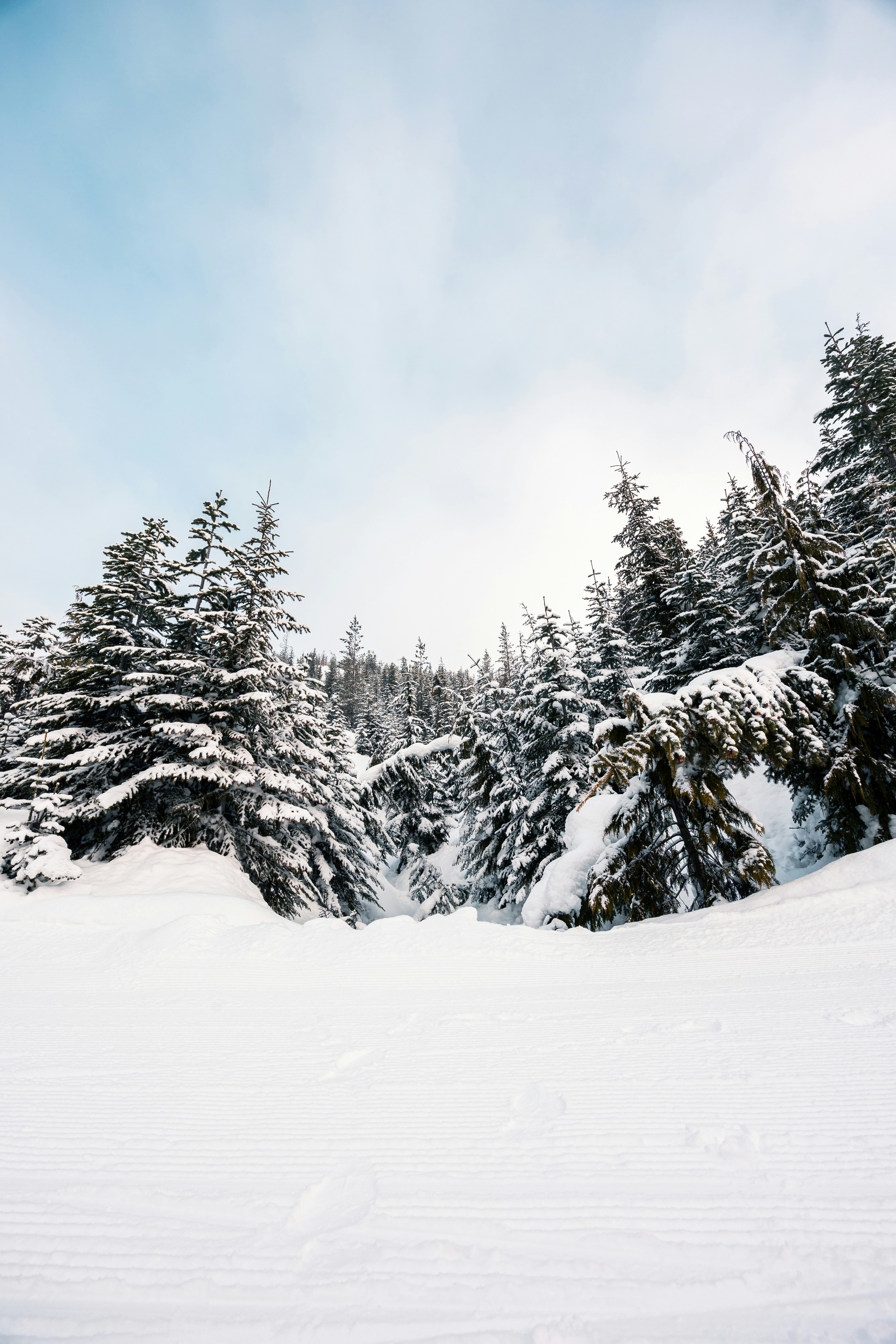 Photo by dariendesigns