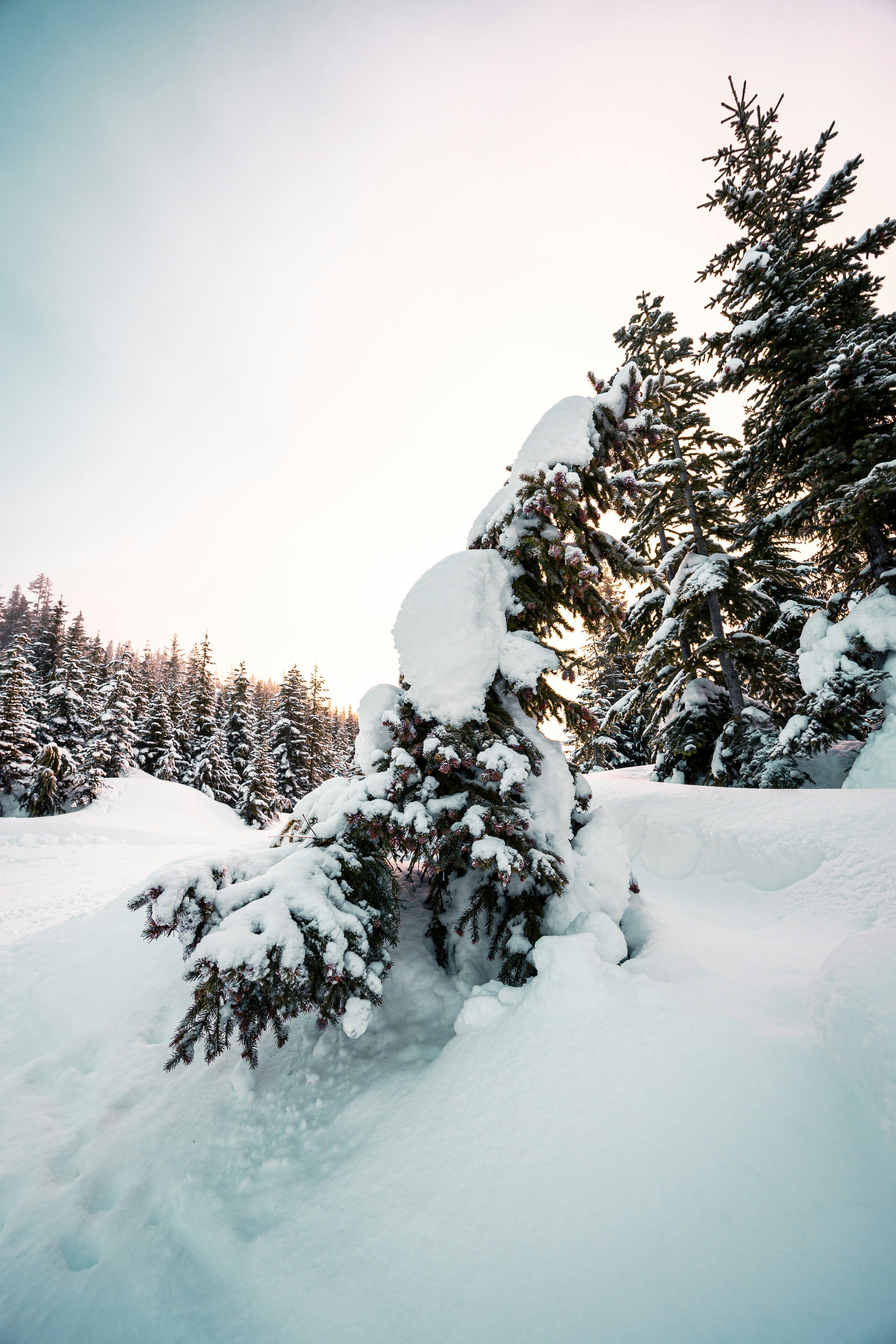 Photo by dariendesigns