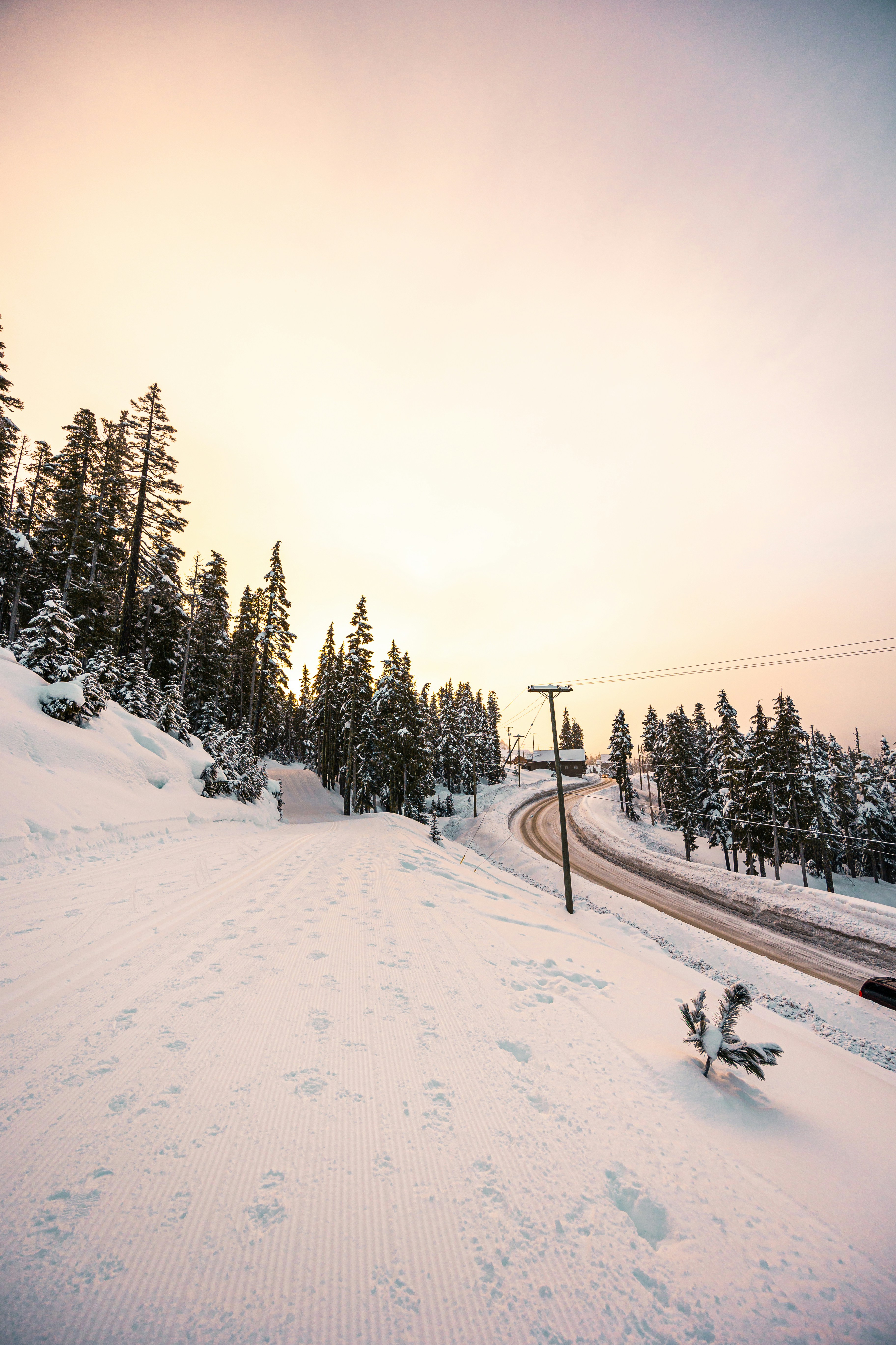 Photo by dariendesigns