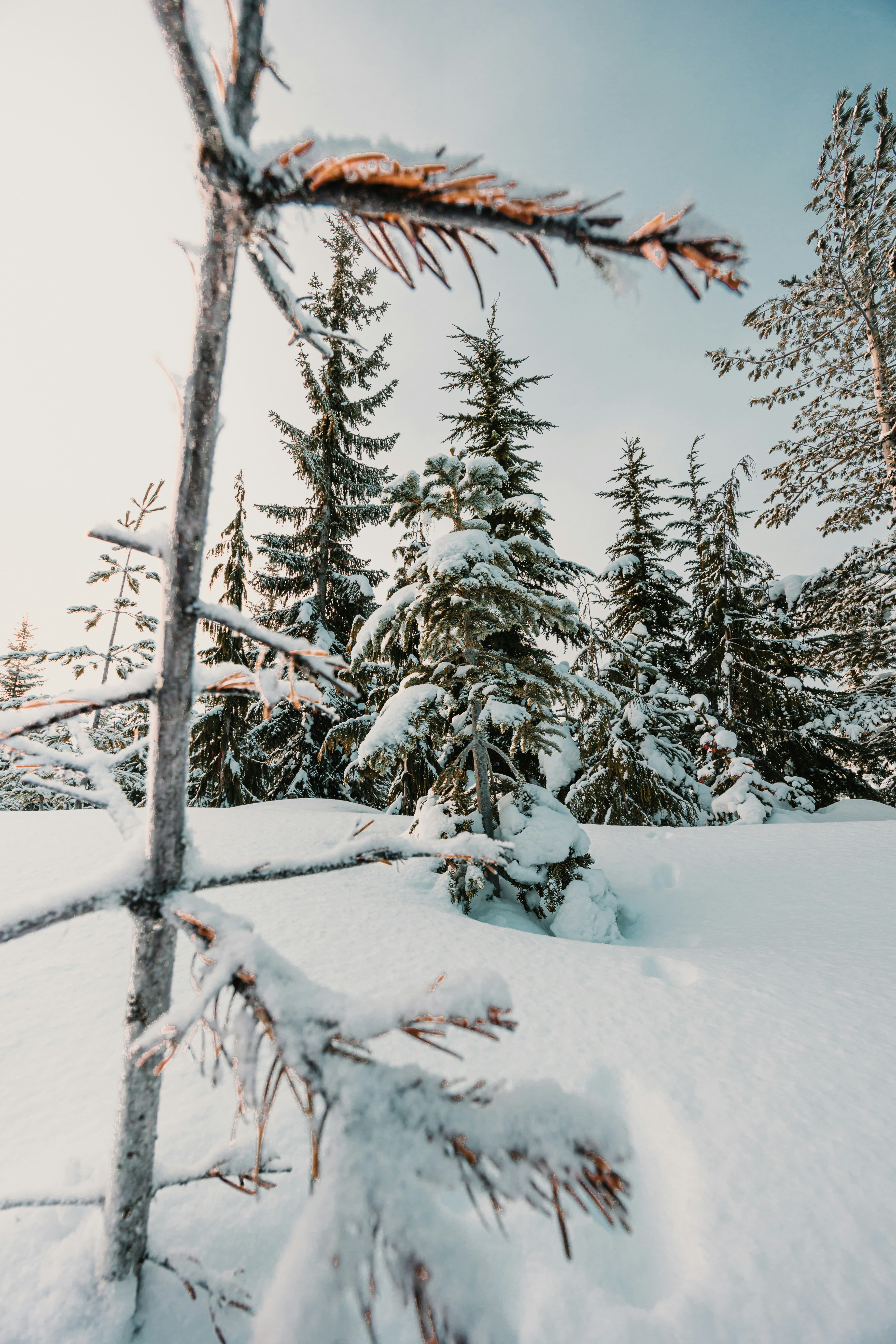 Photo by dariendesigns