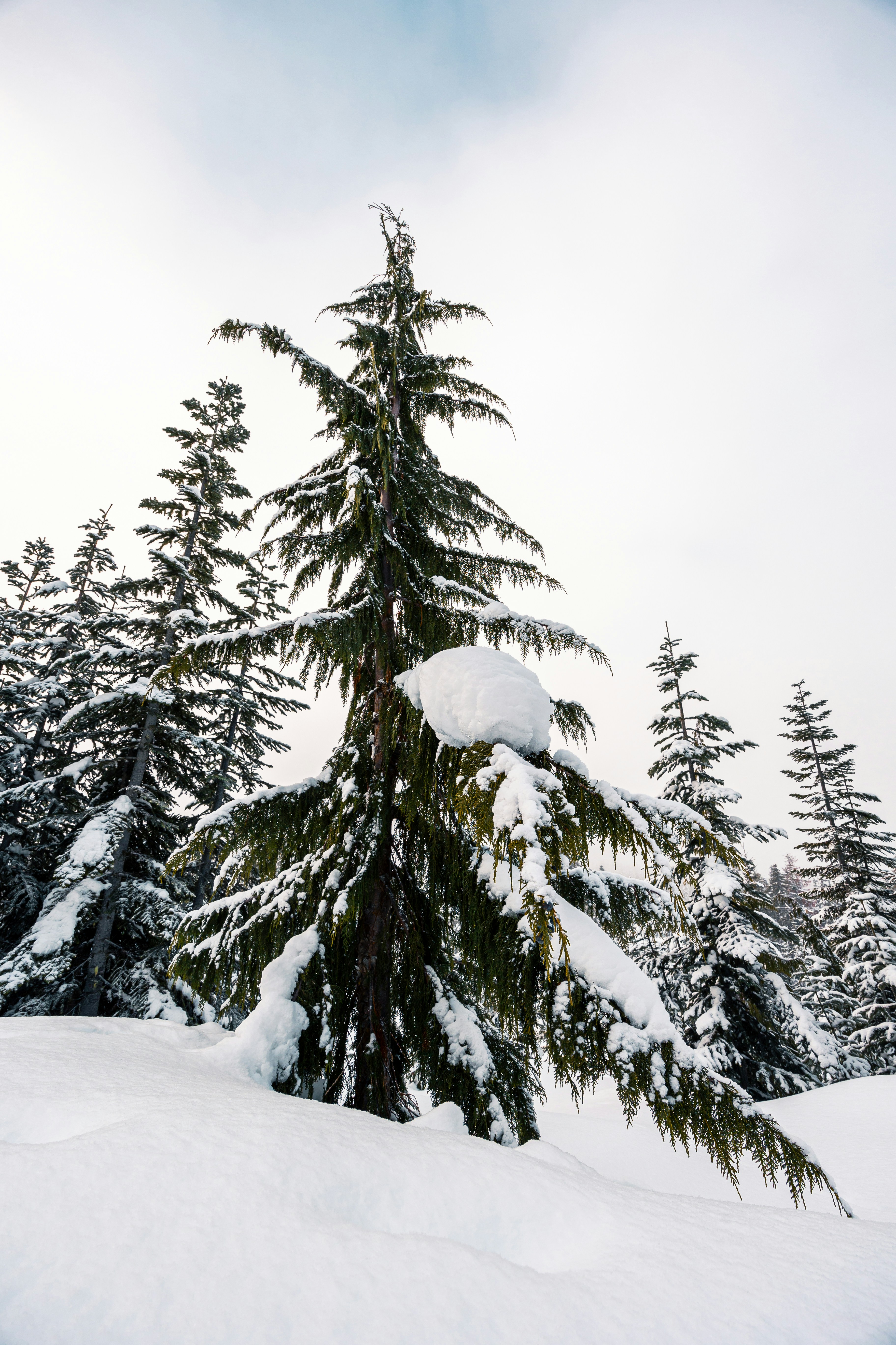 Photo by dariendesigns