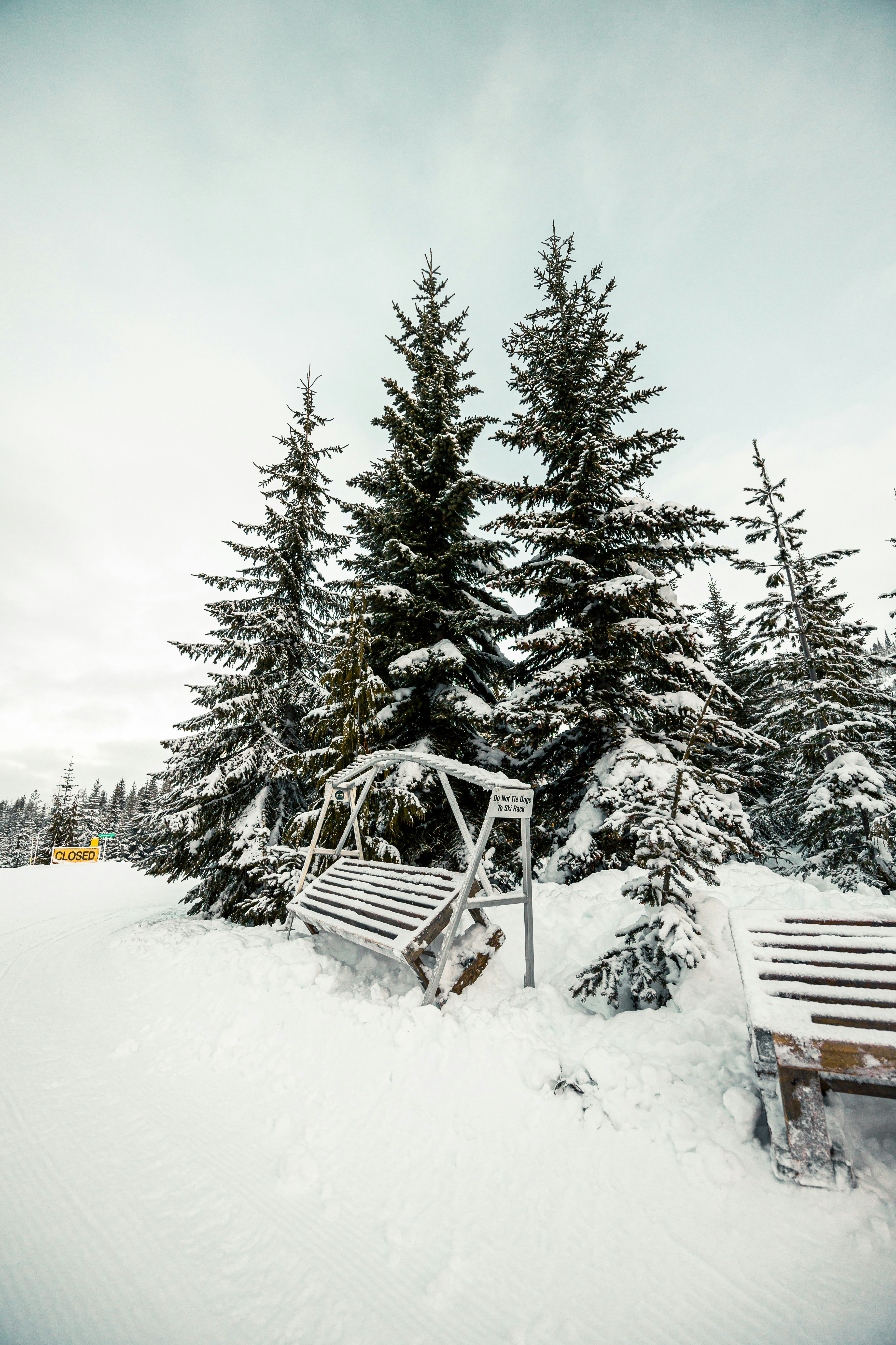 Photo by dariendesigns