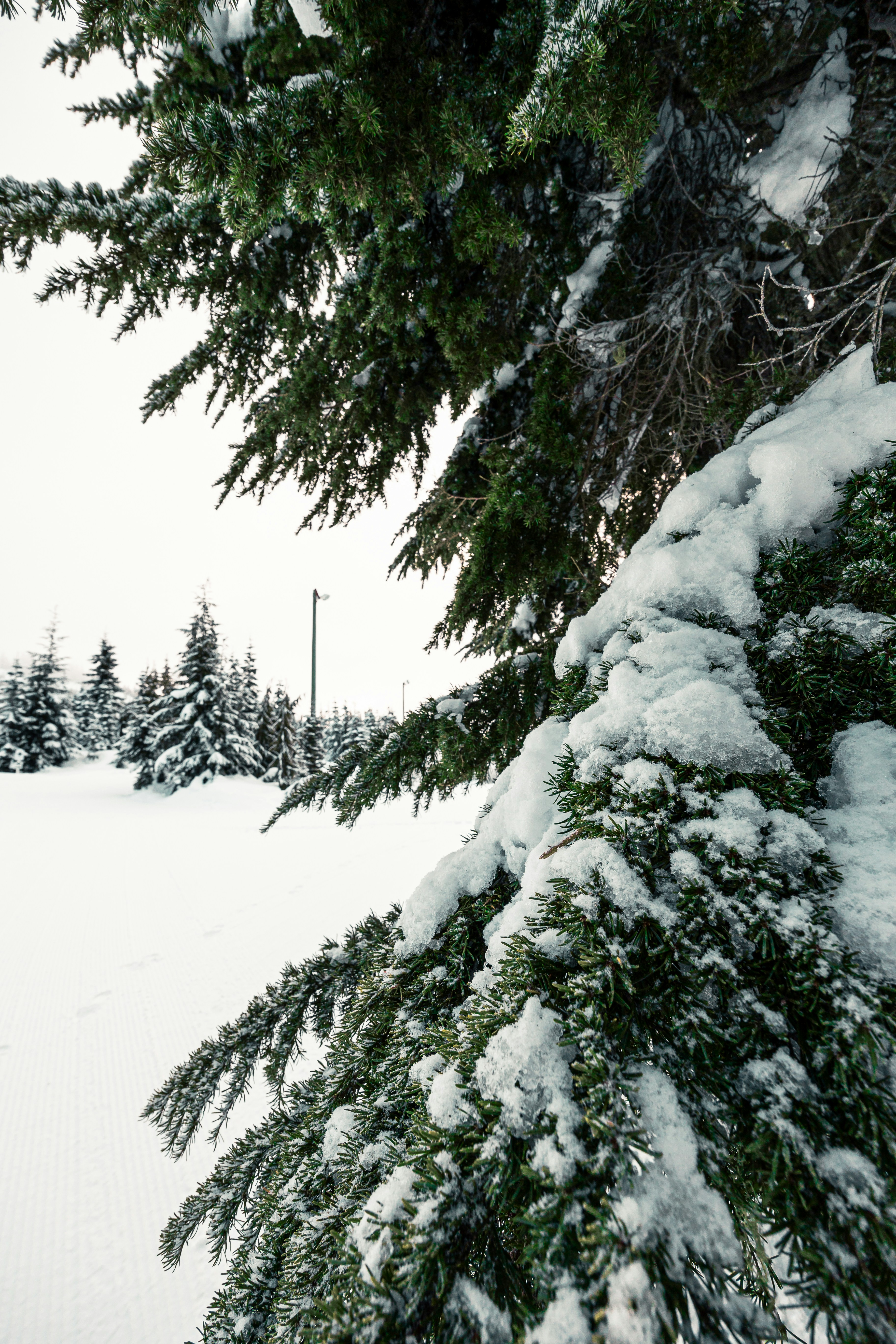 Photo by dariendesigns