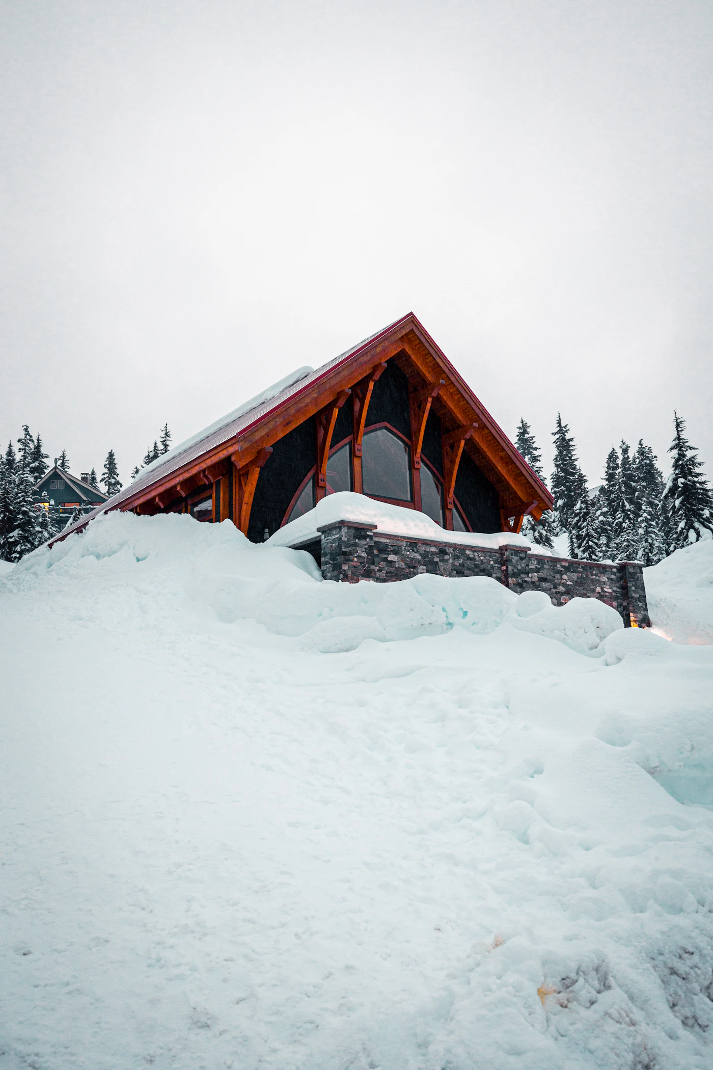 Modern mountain home