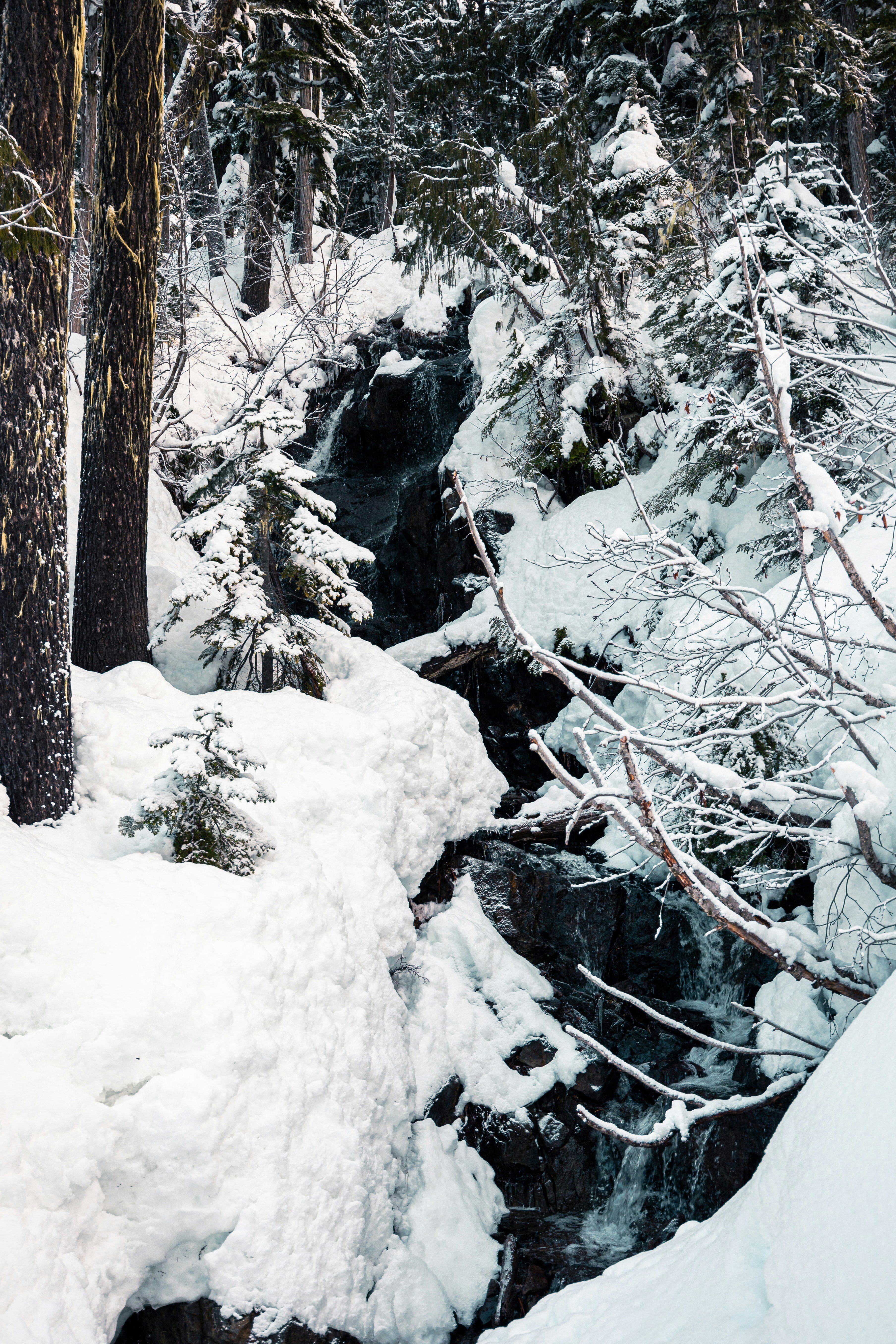 Photo by dariendesigns