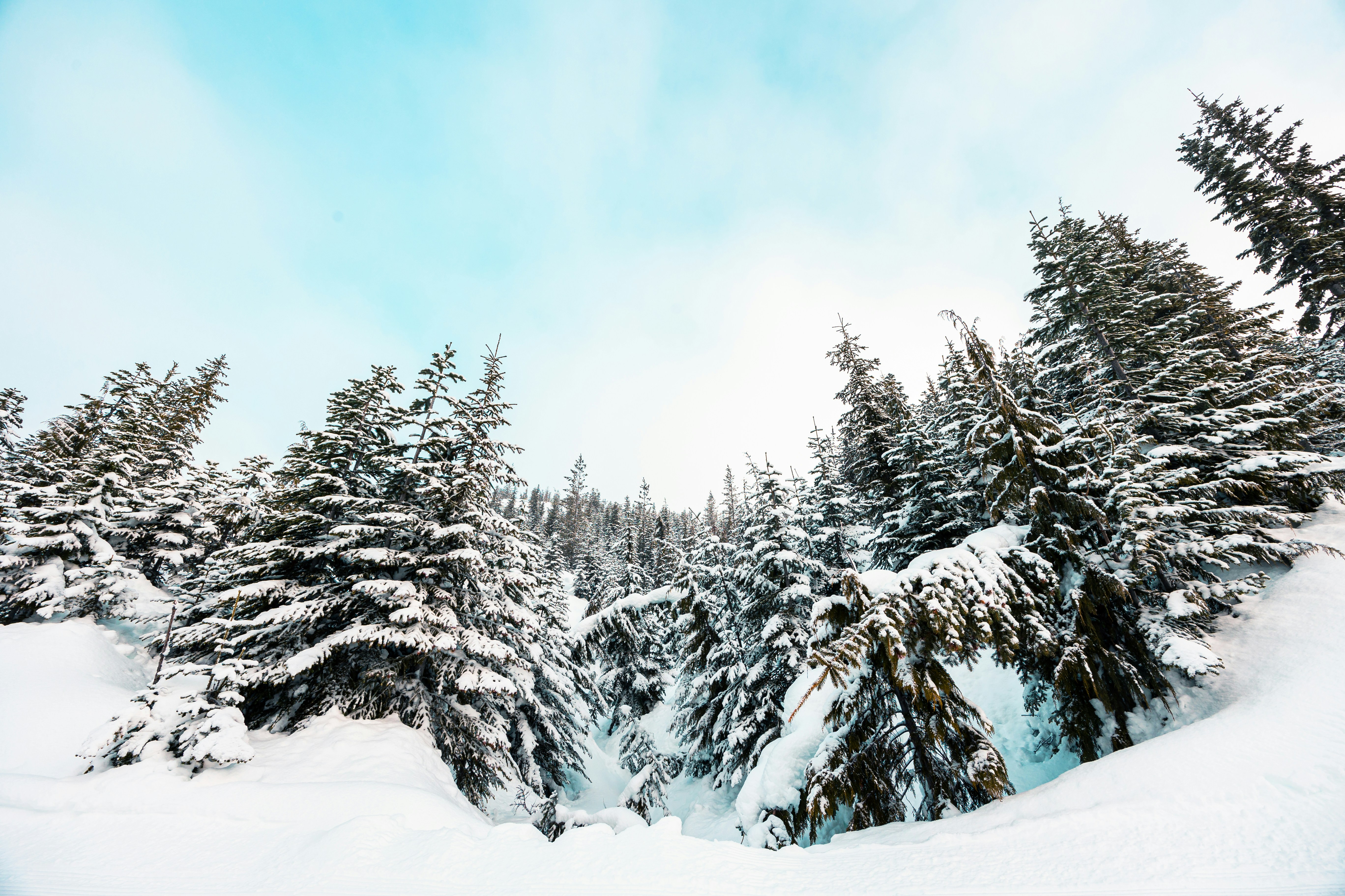 Photo by dariendesigns