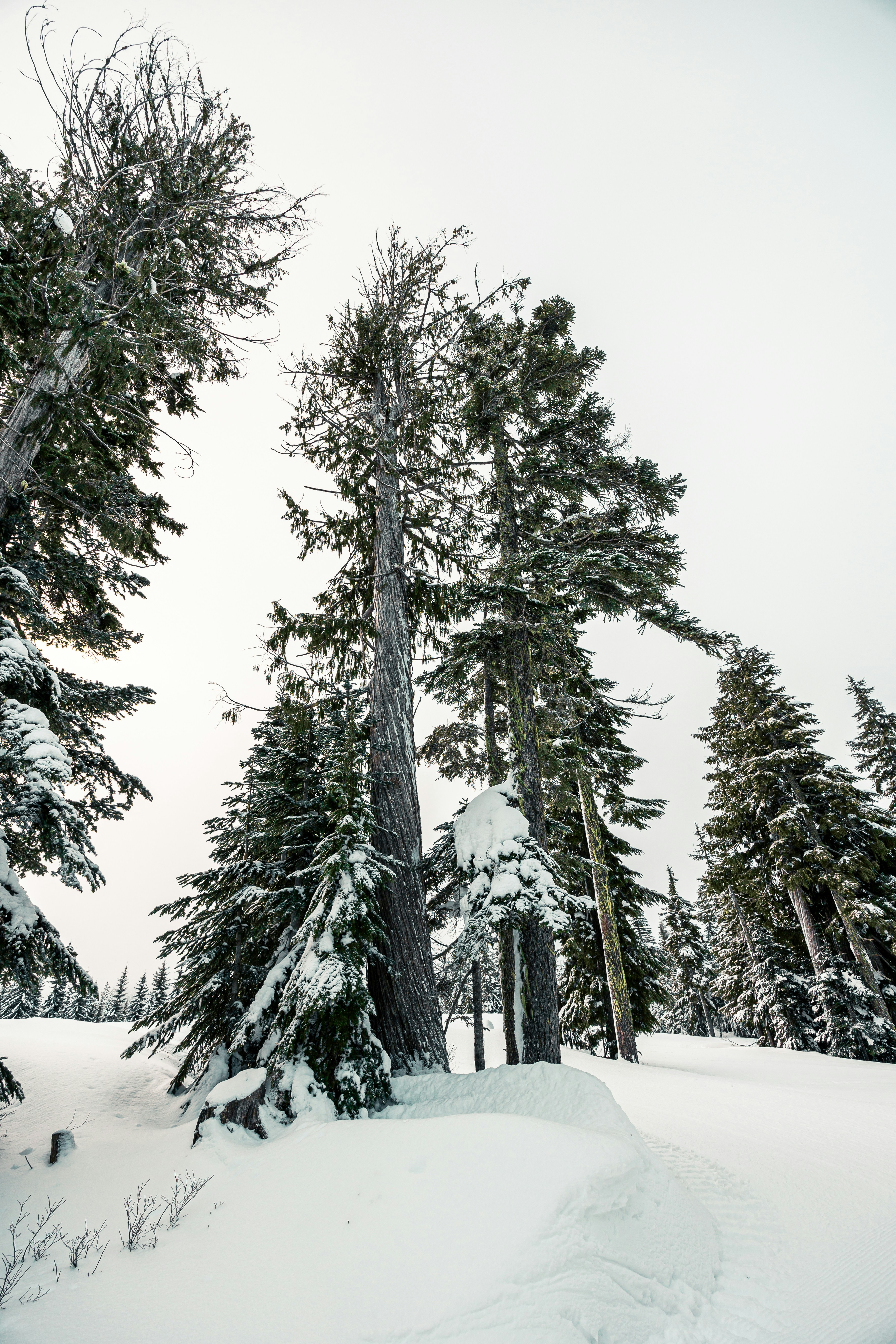 Photo by dariendesigns