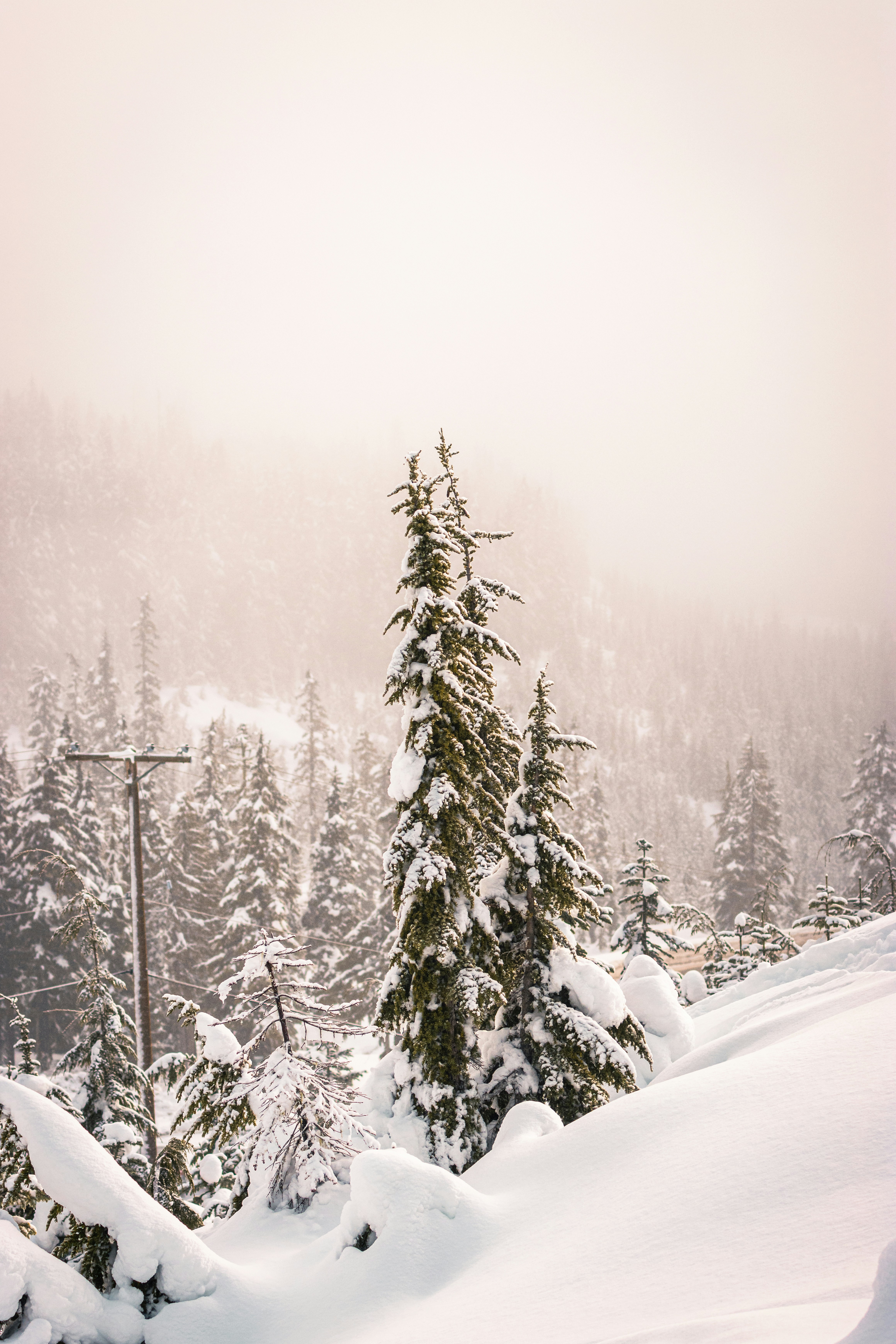 Photo by dariendesigns