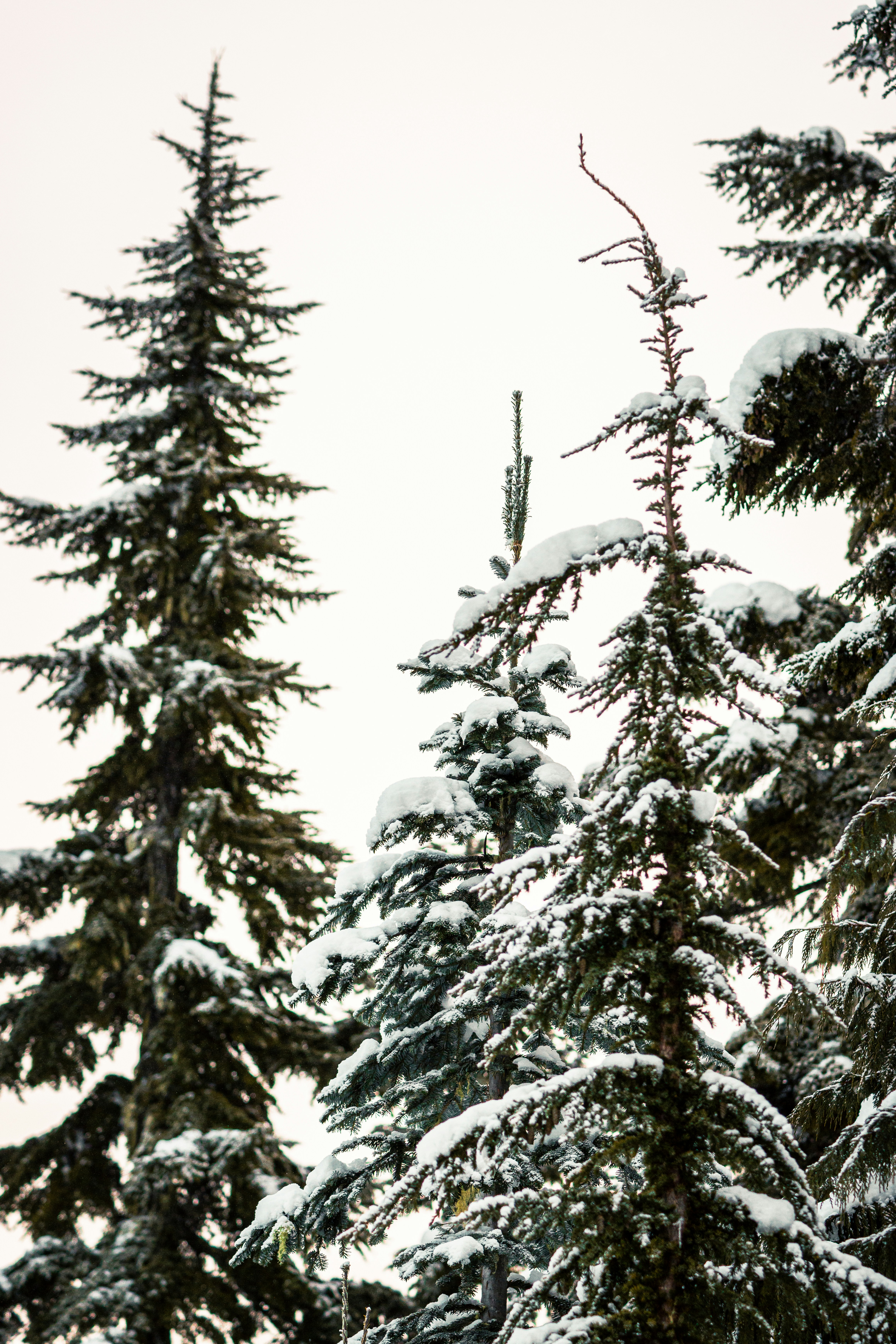 Photo by dariendesigns