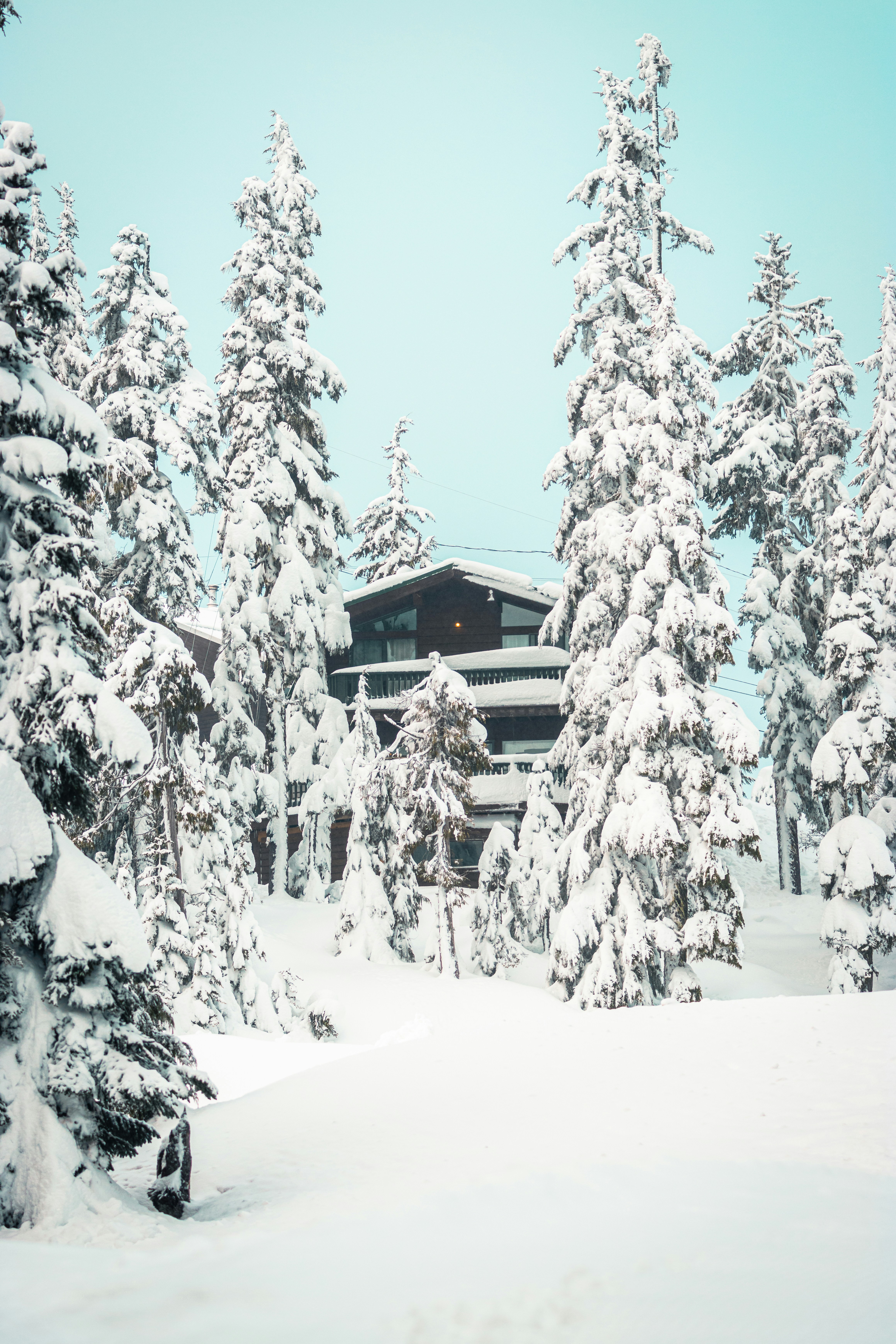 Photo by dariendesigns