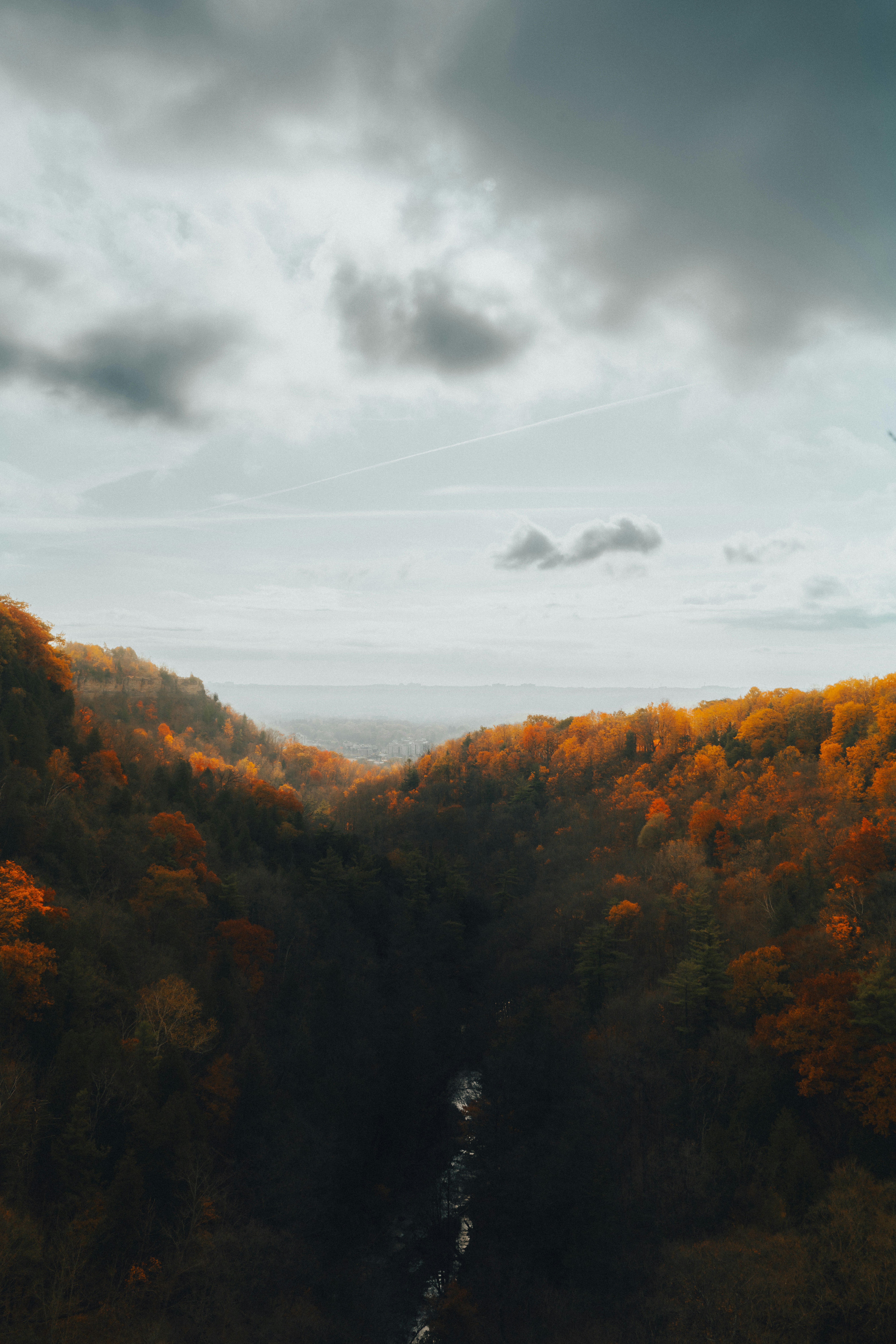 Autumn forest valley with a winding river below