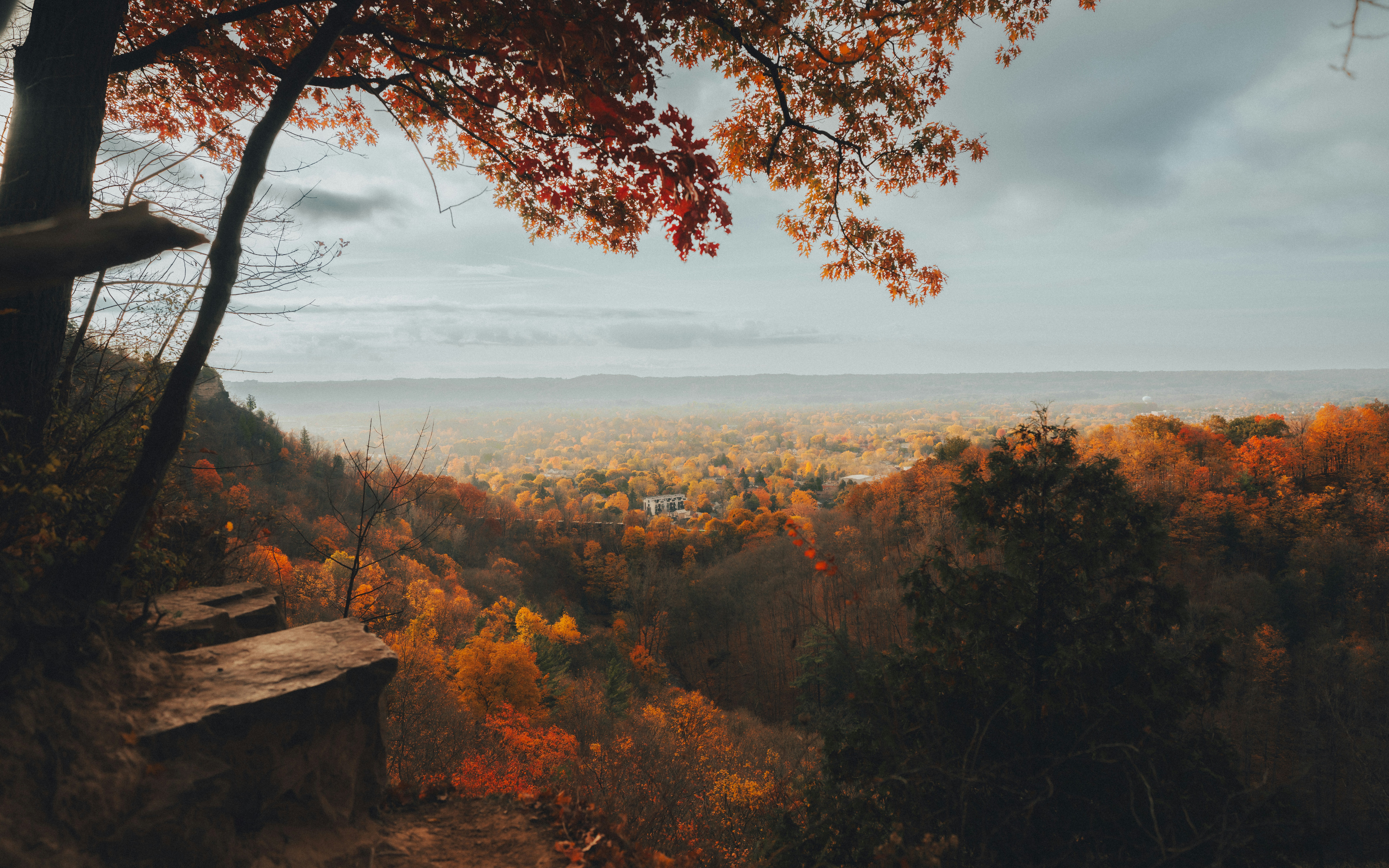 Photo by damiankravchuk