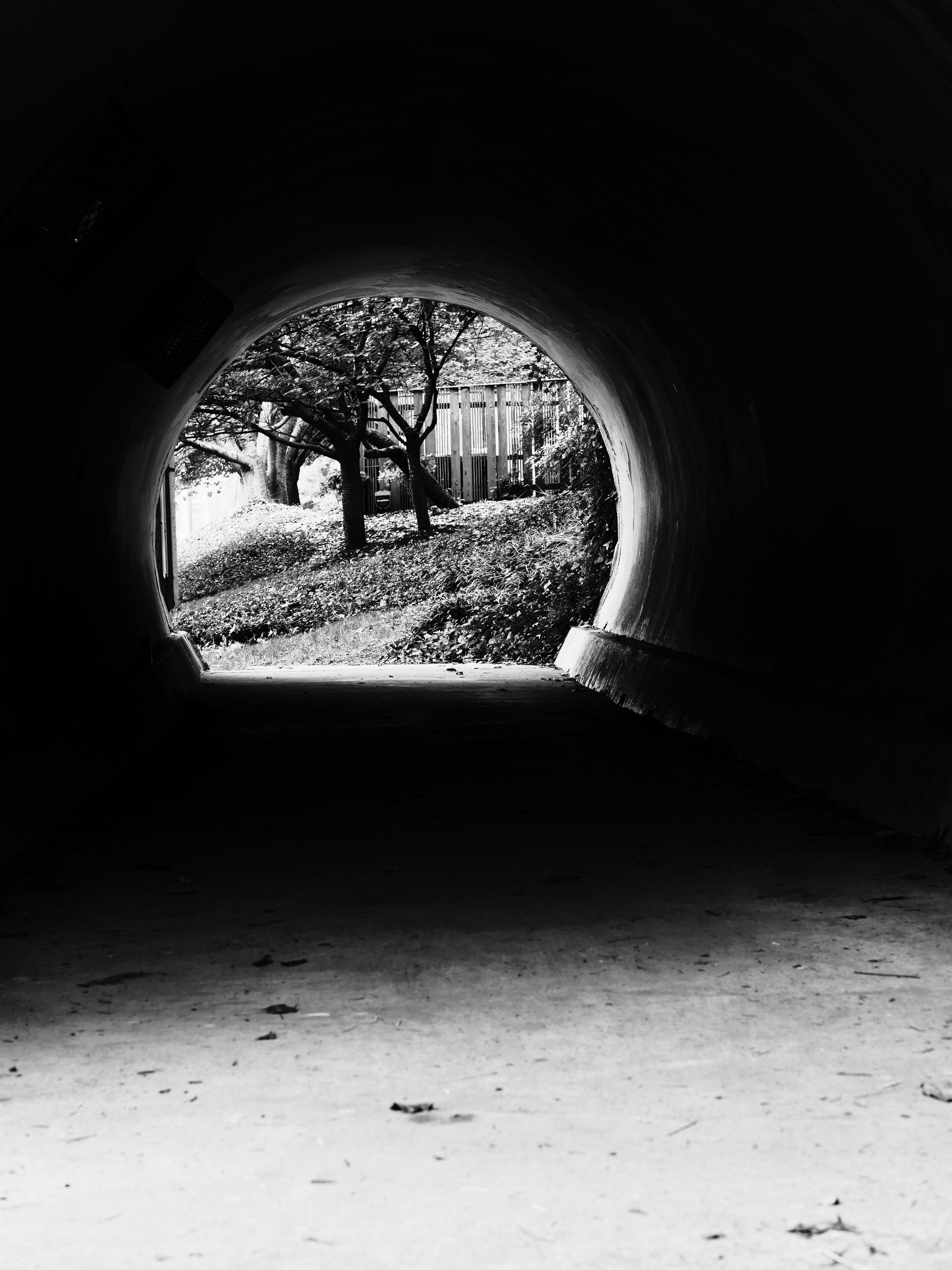 View through dark tunnel towards trees and sunlight.