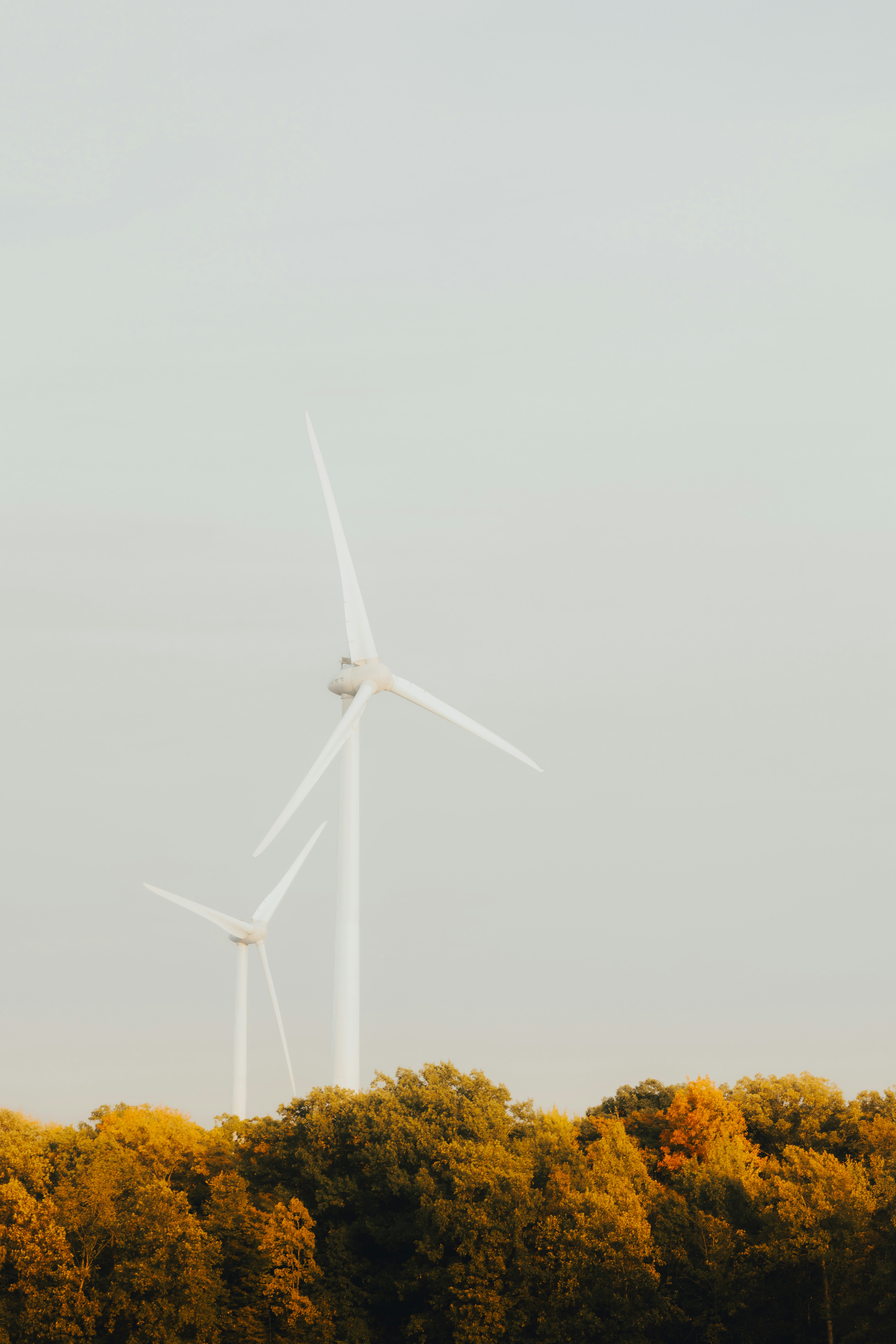 Photo by damiankravchuk