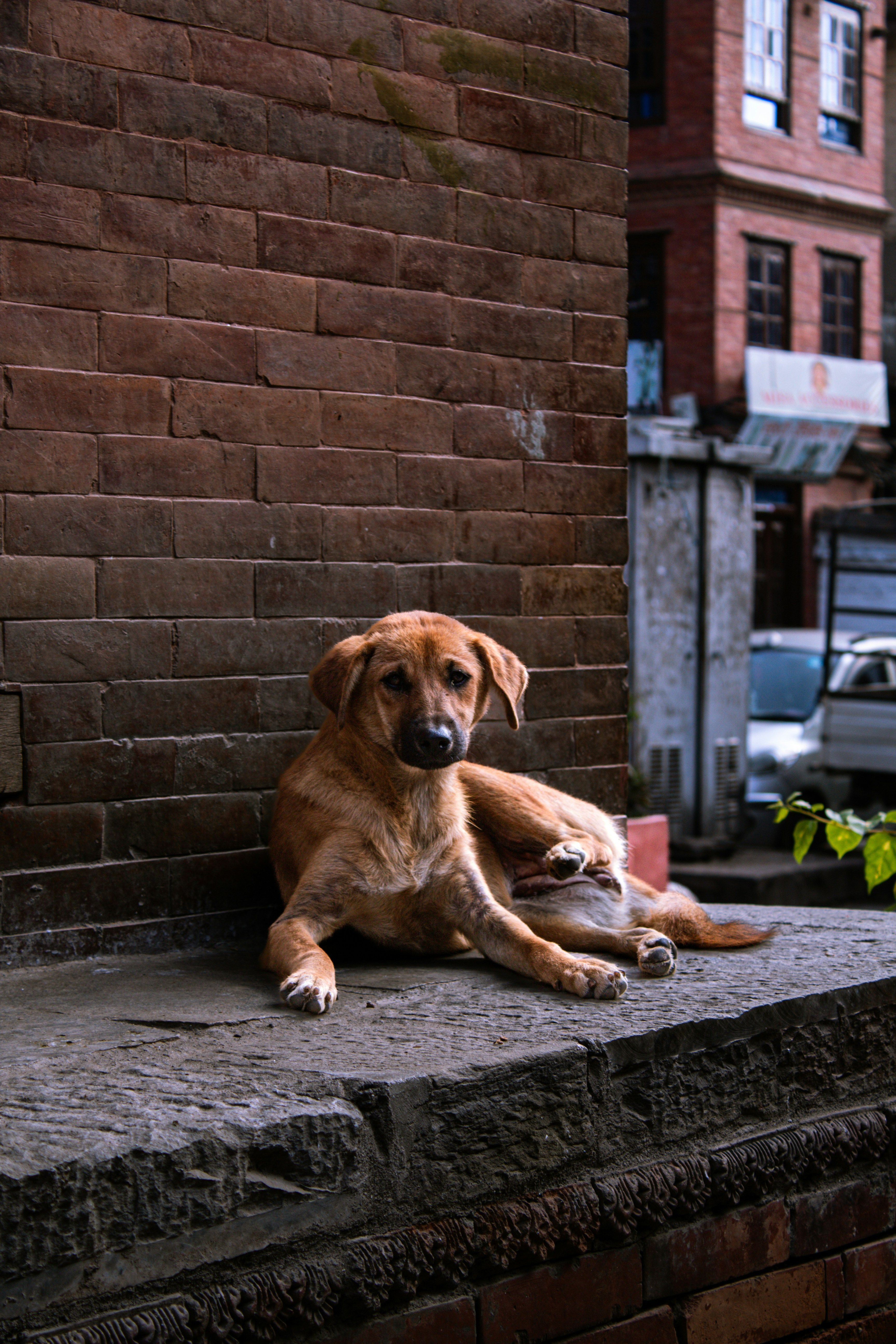 Photo by jeevankatel