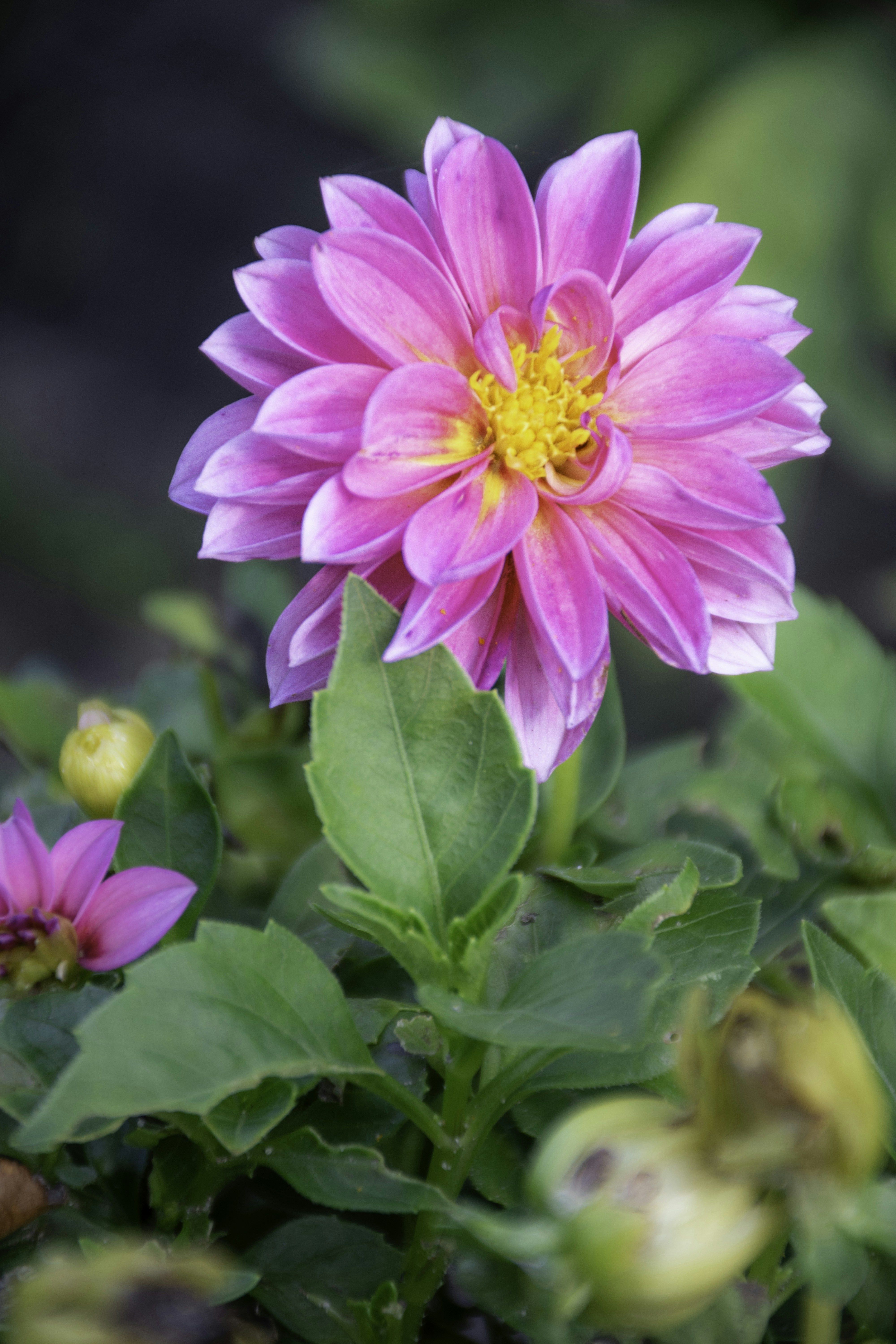 Photo by adam_skrinnikoff