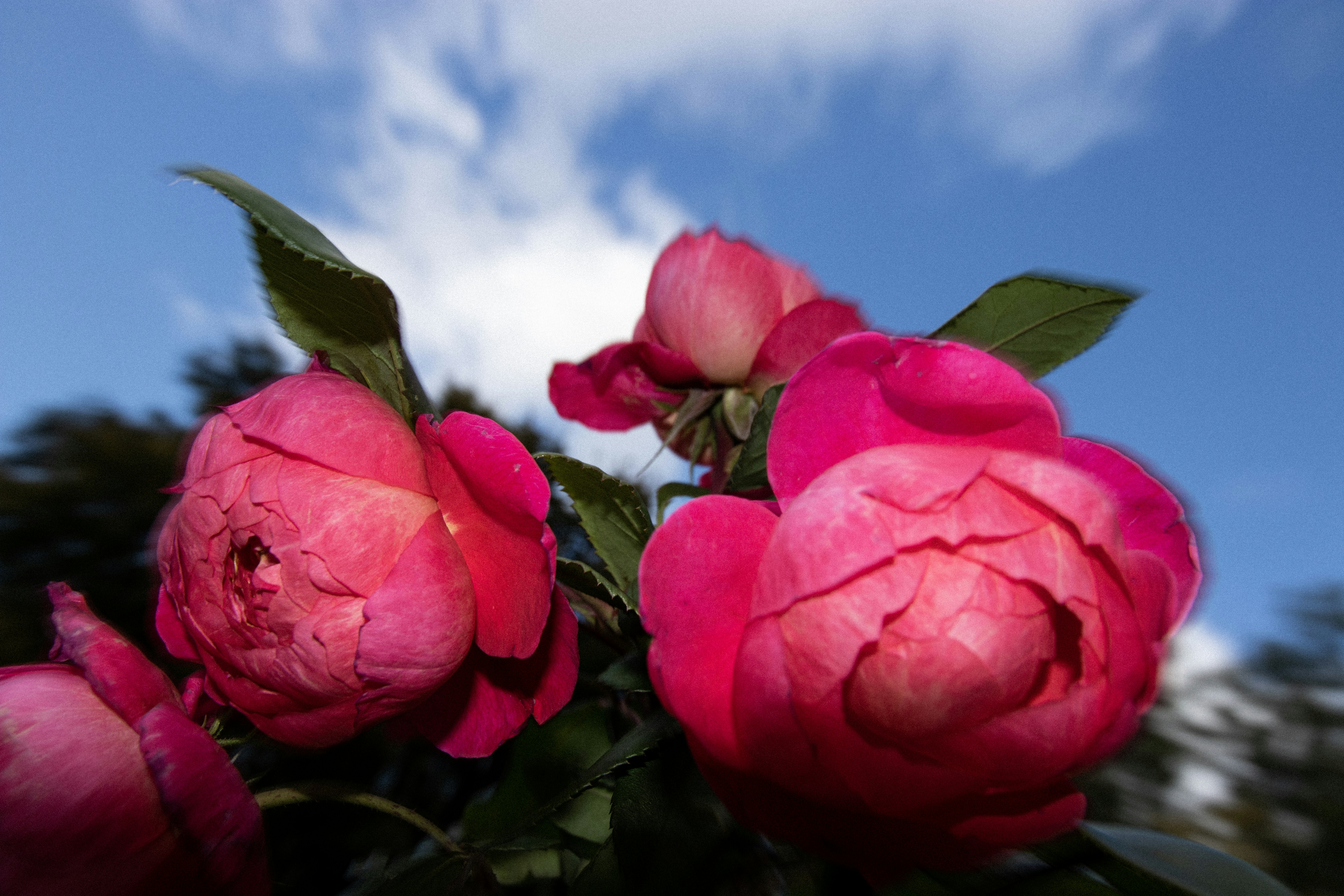 Photo by reinisbruzitis