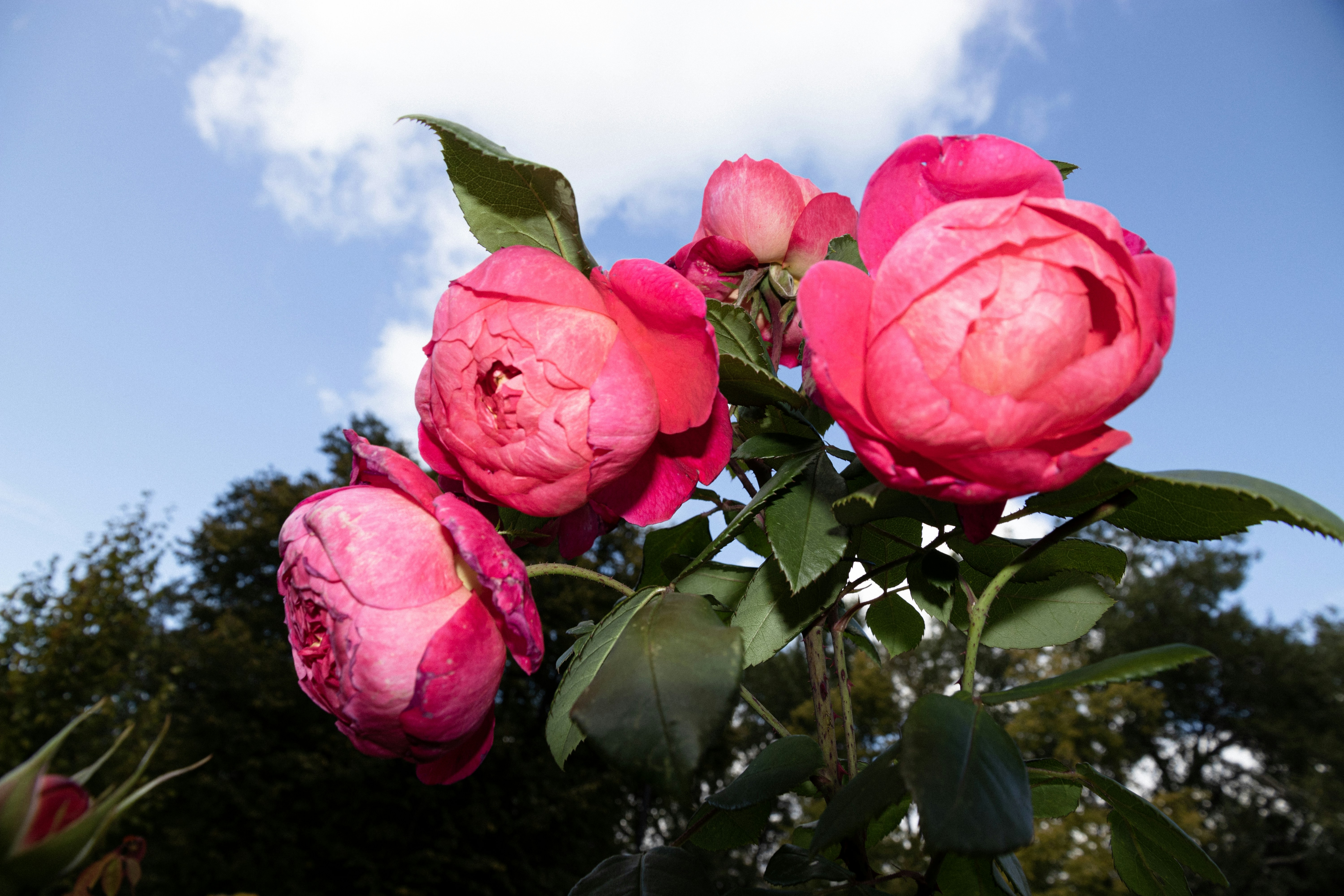 Photo by reinisbruzitis