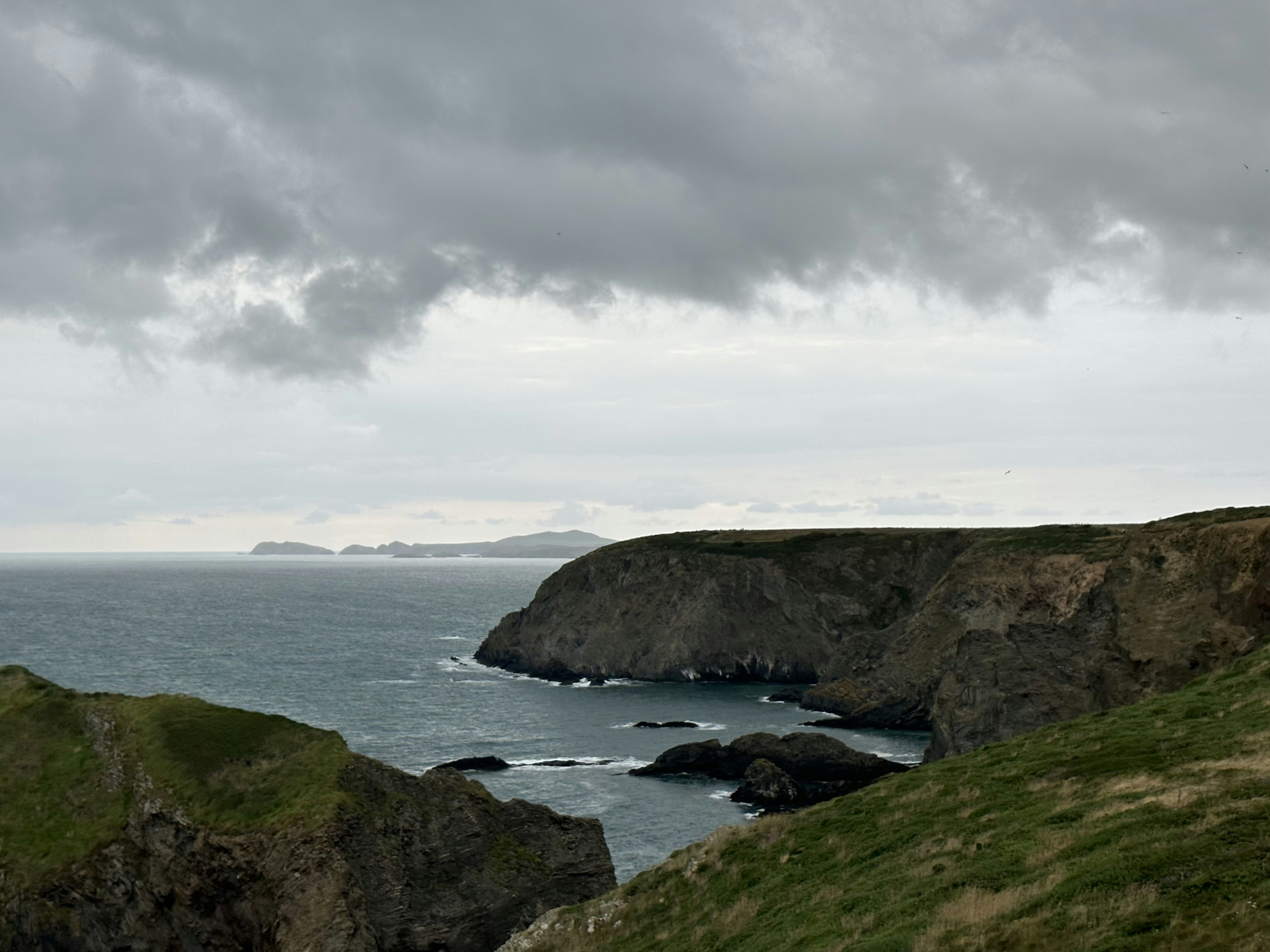 Photo by sergei_gussev