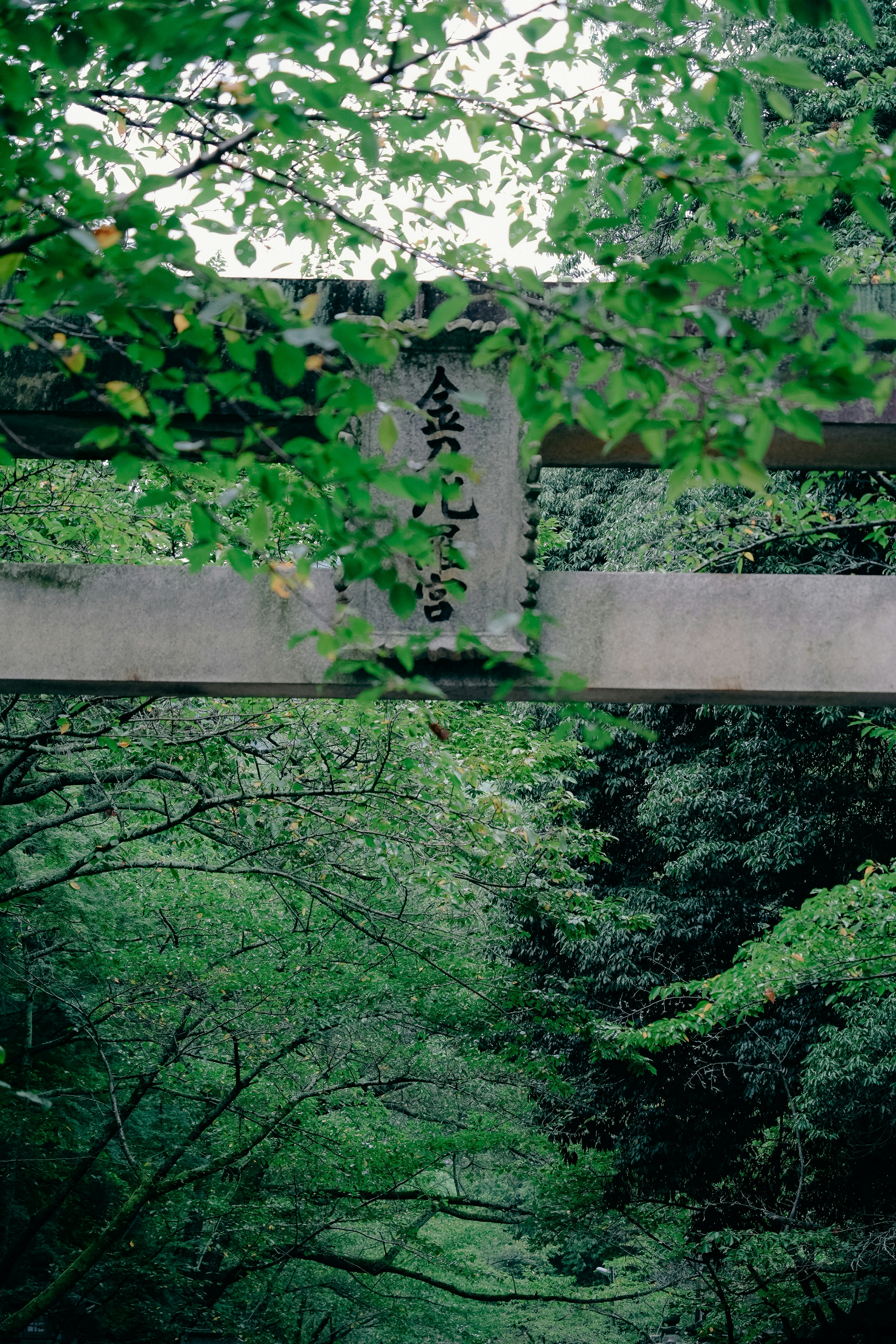 Photo by johnnyho_ho