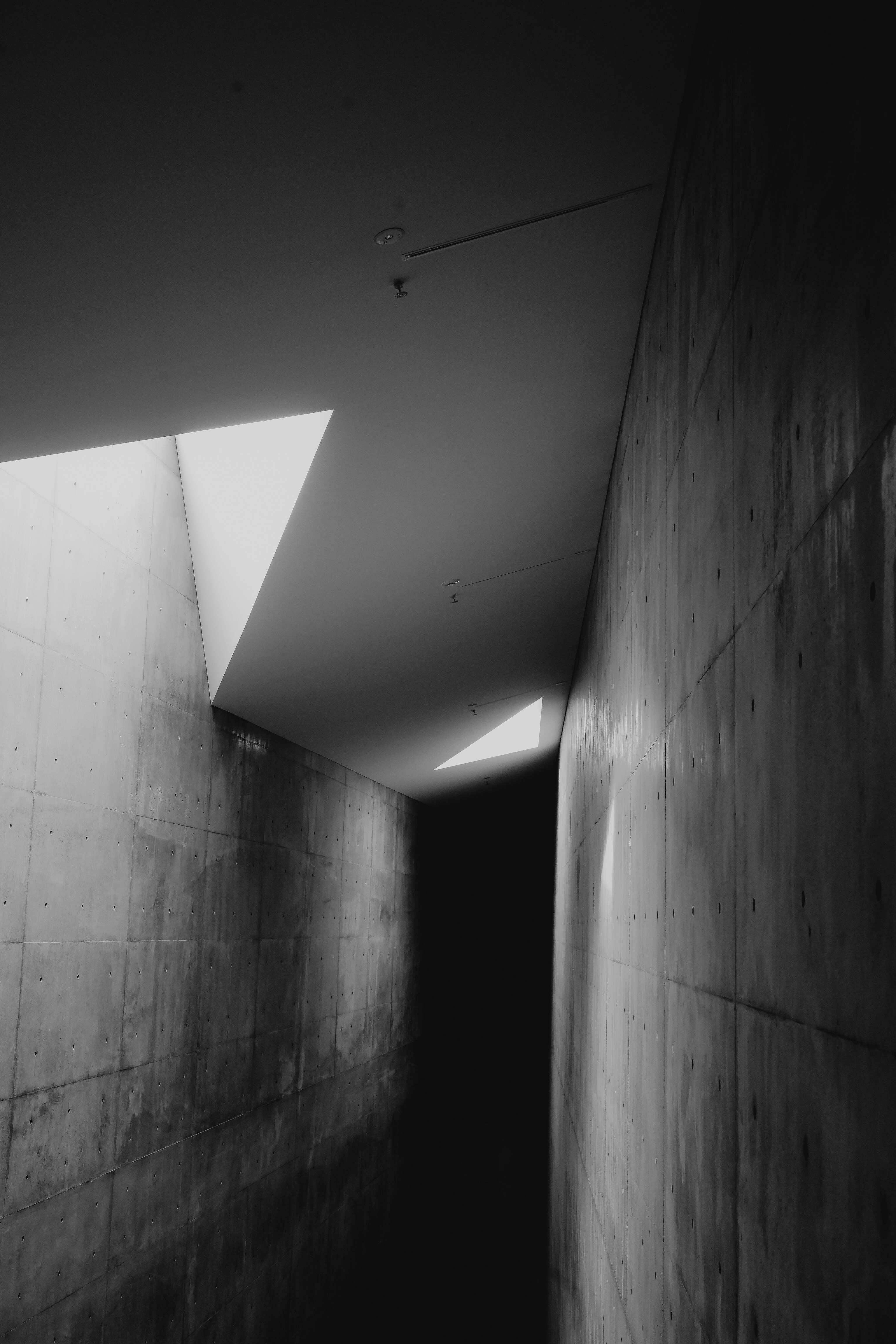 Photo by johnnyho_ho