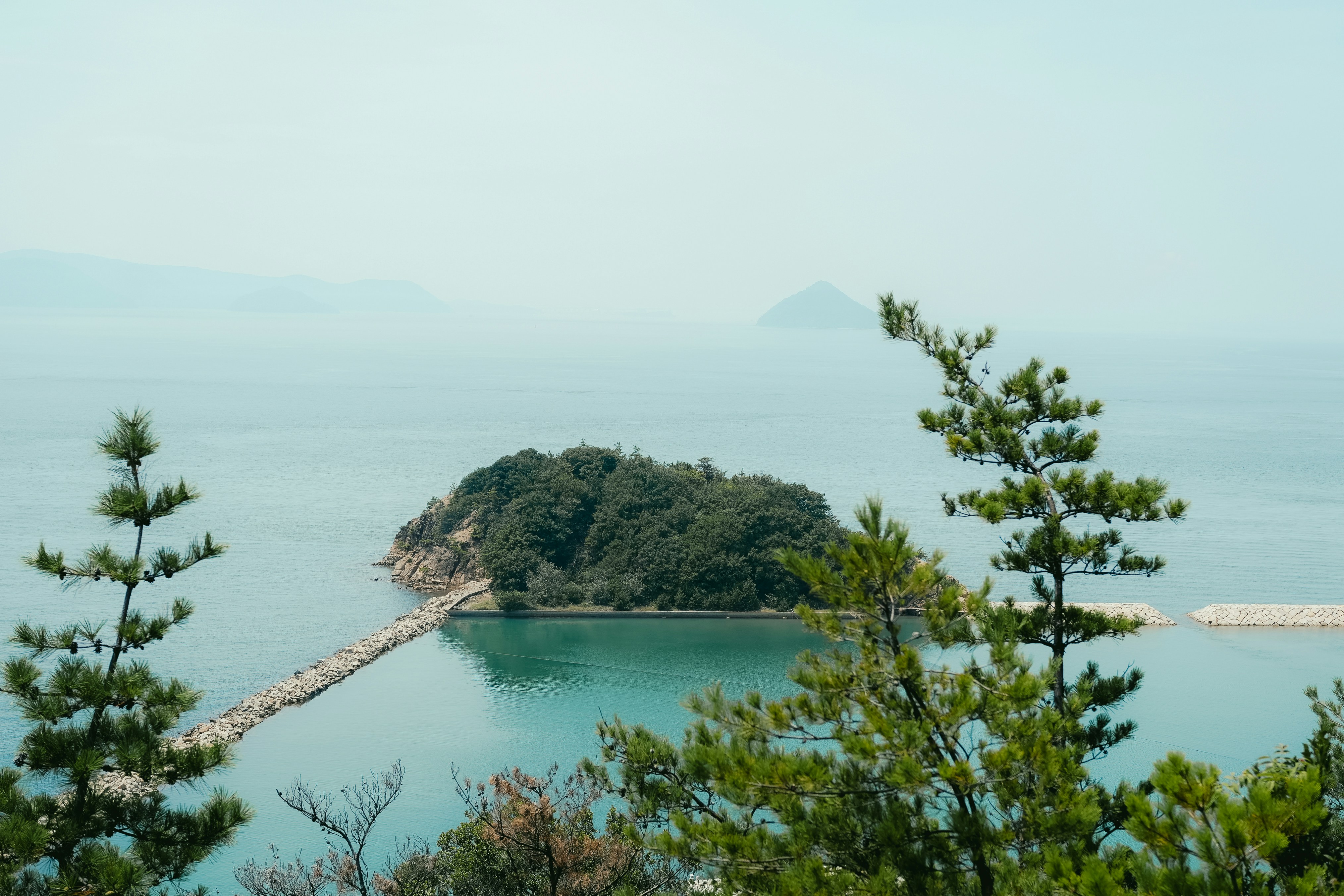 Photo by johnnyho_ho