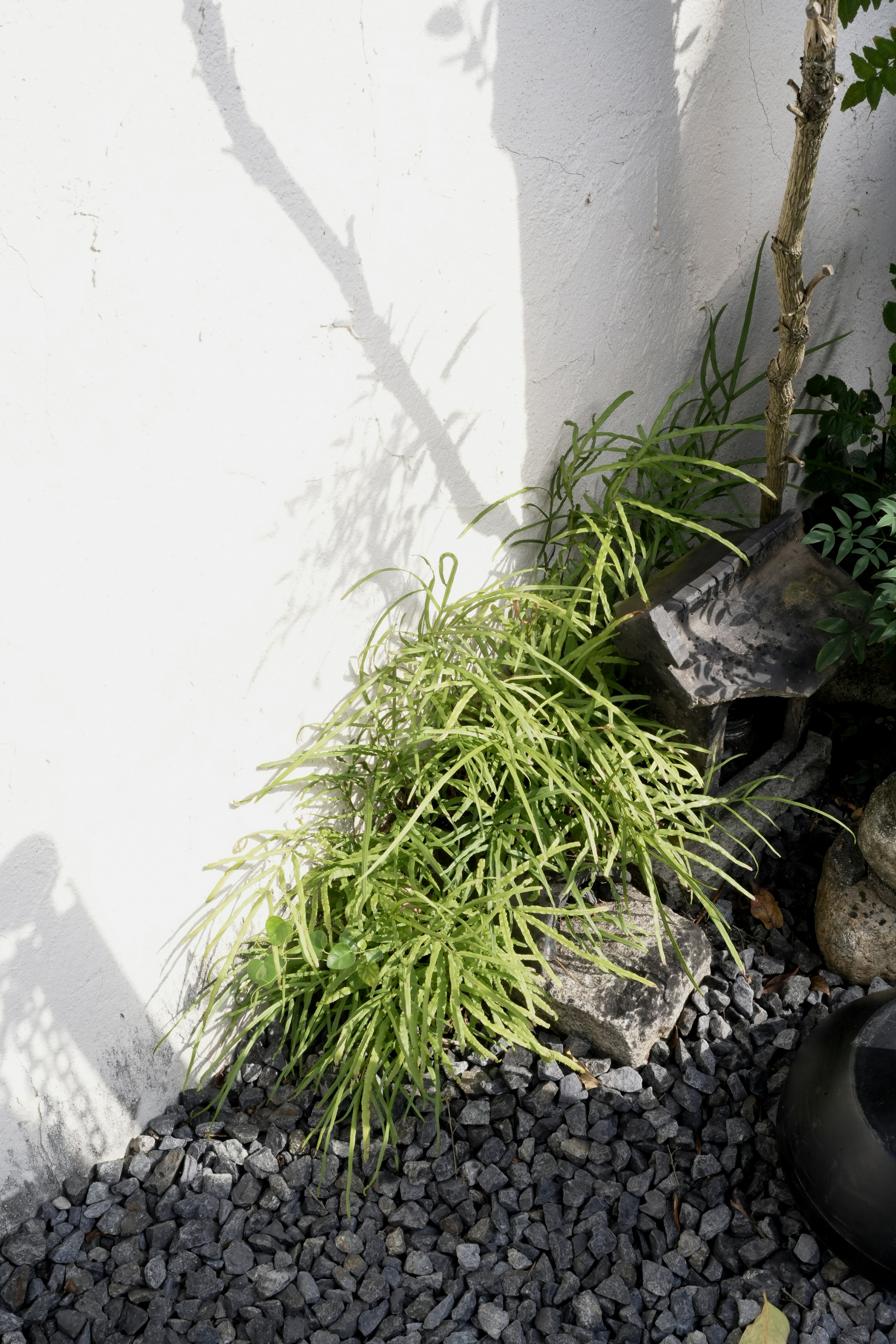 Photo by johnnyho_ho