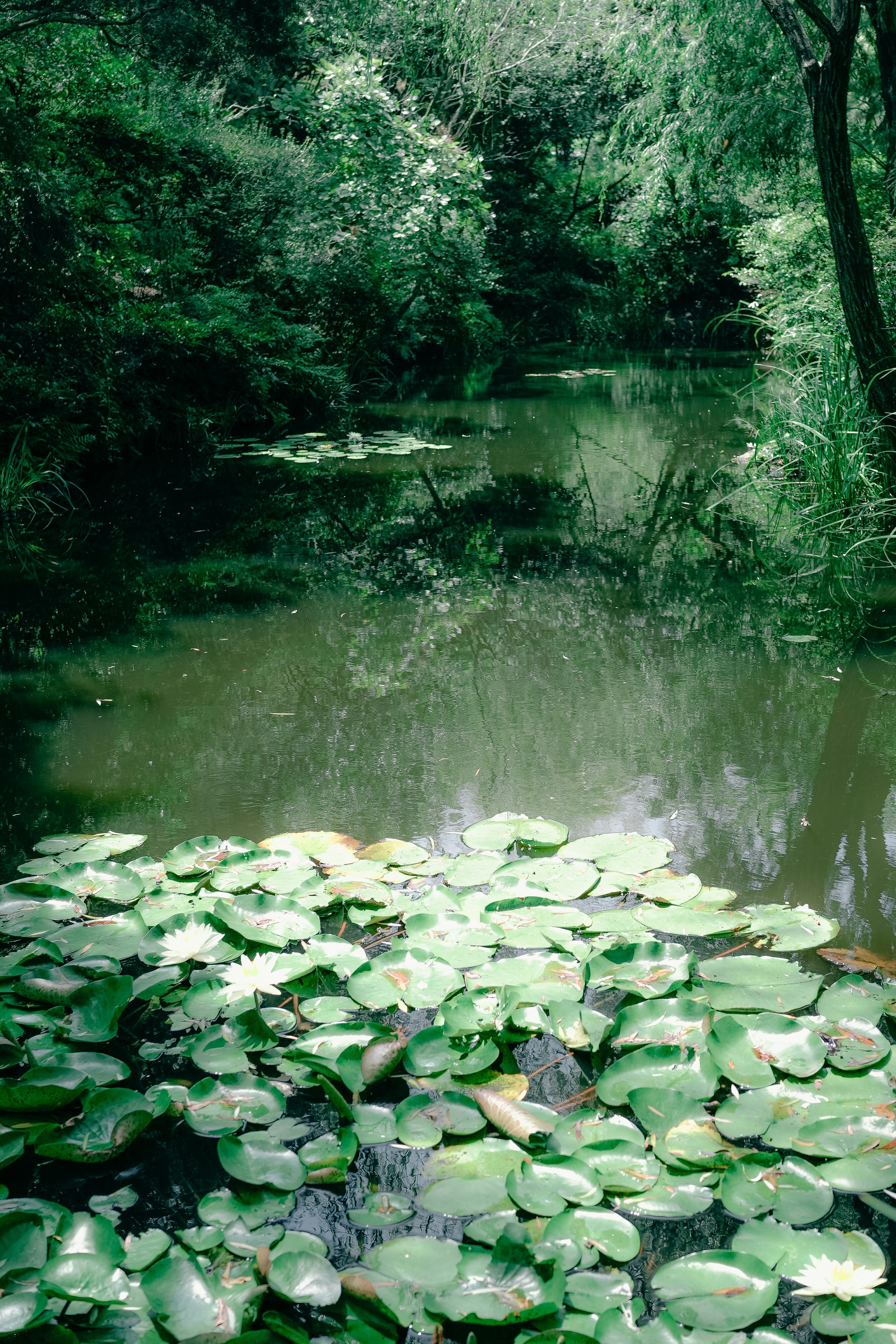 Photo by johnnyho_ho