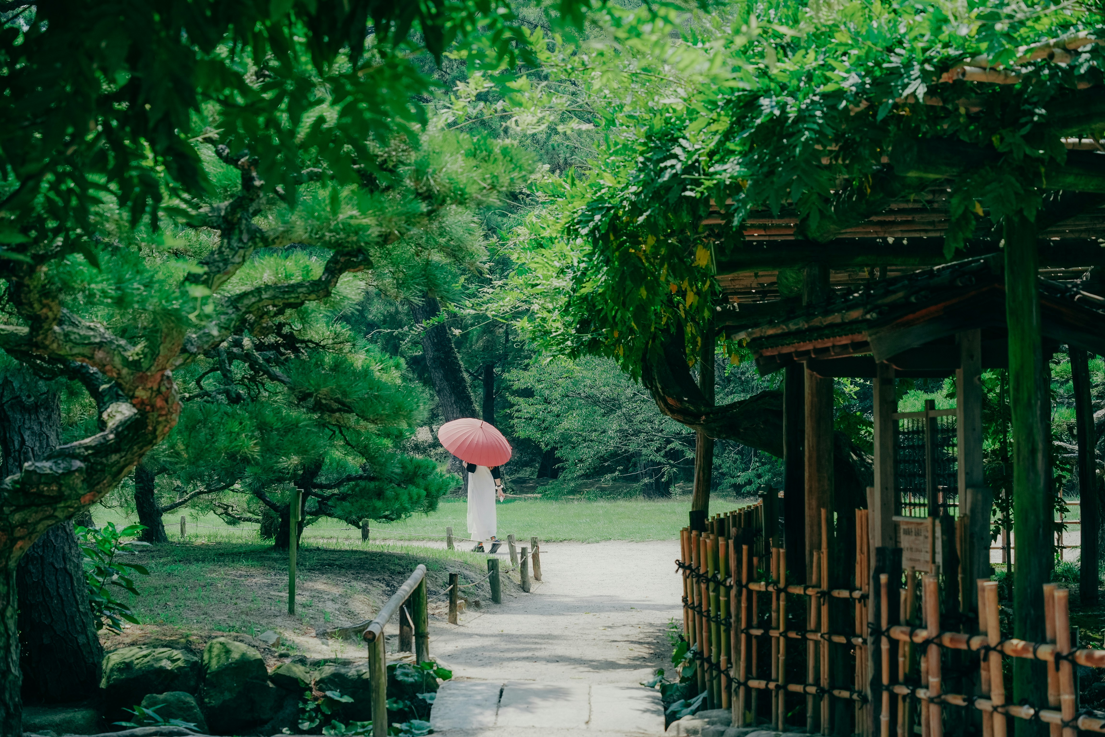 Photo by johnnyho_ho