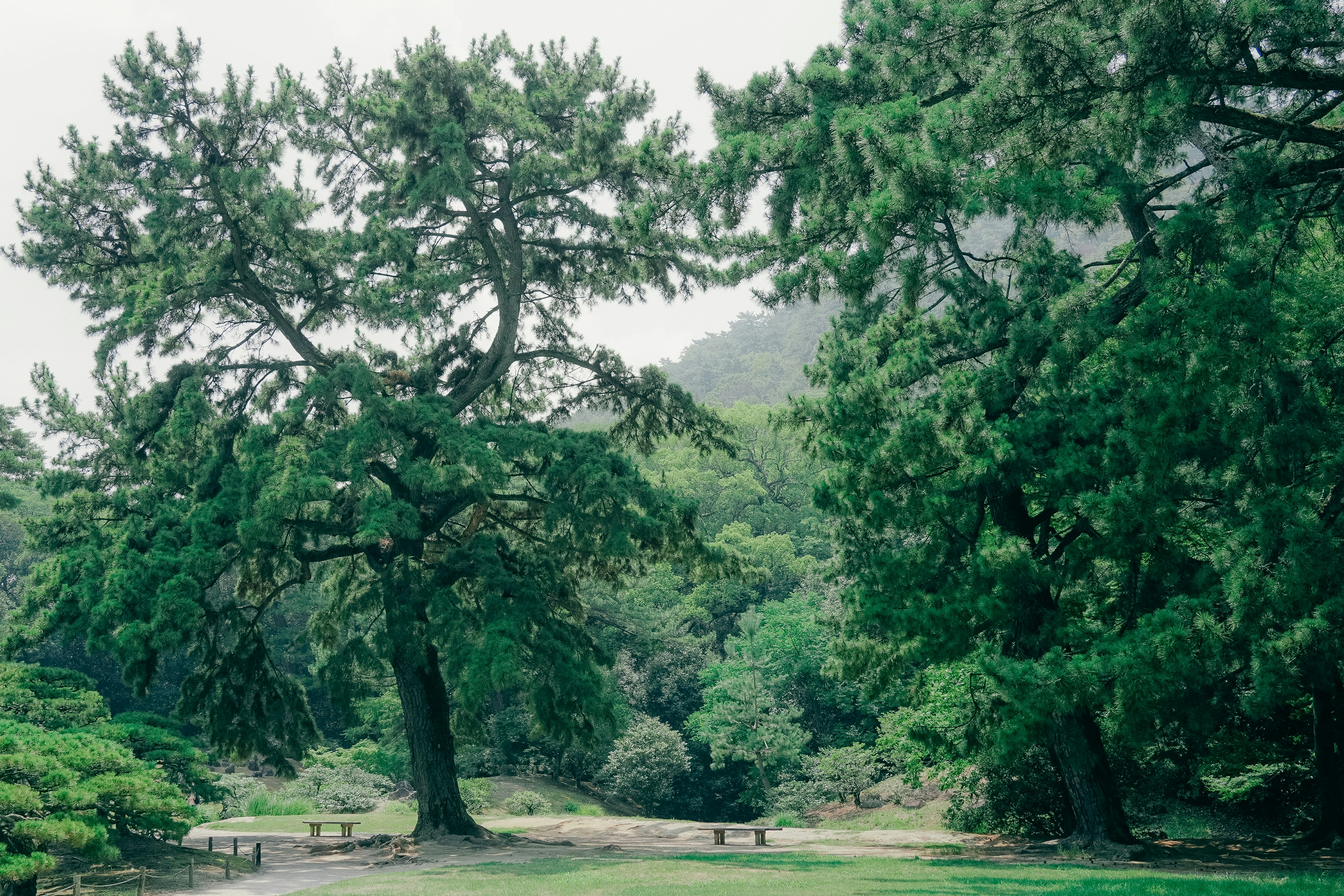 Photo by johnnyho_ho