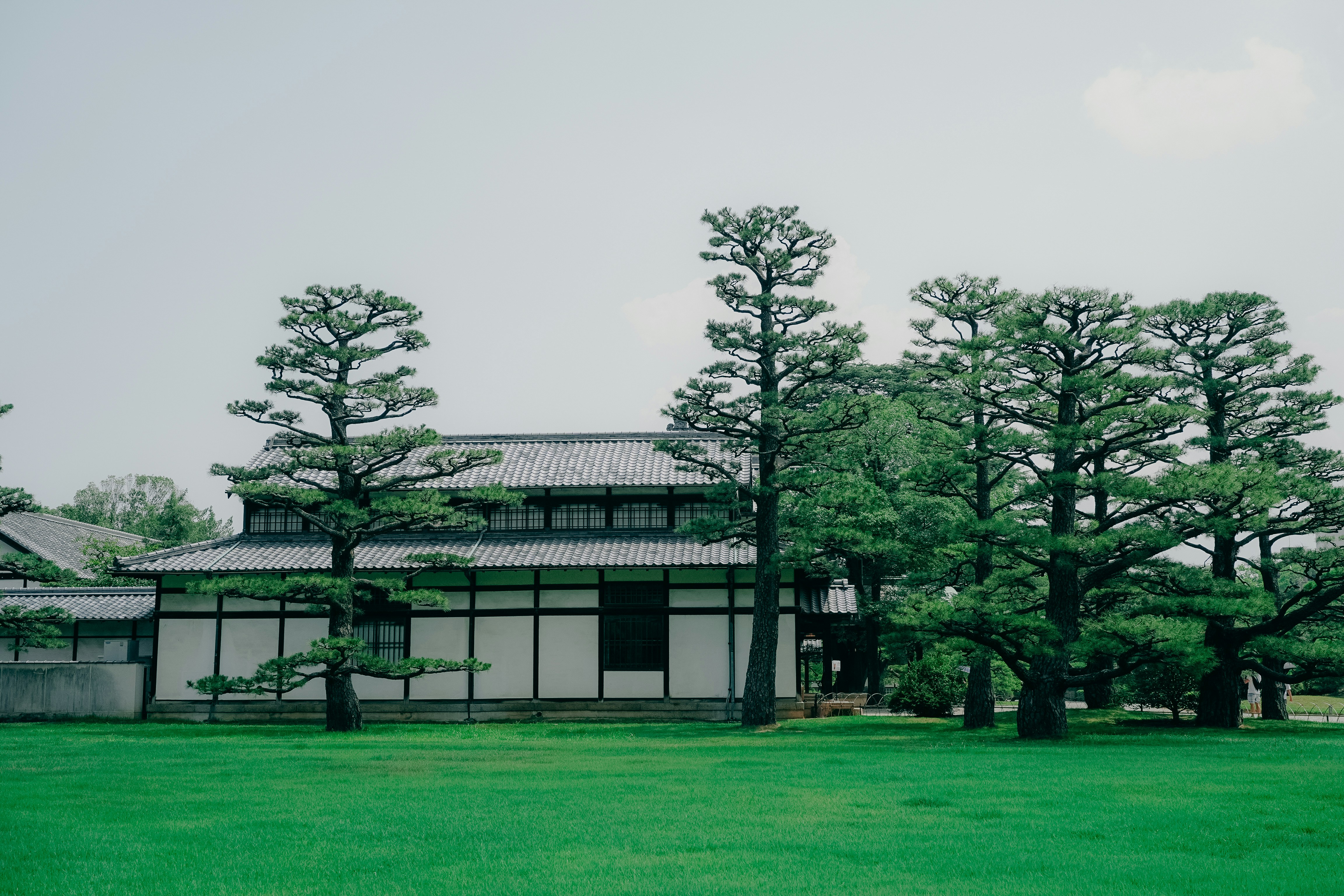 Photo by johnnyho_ho