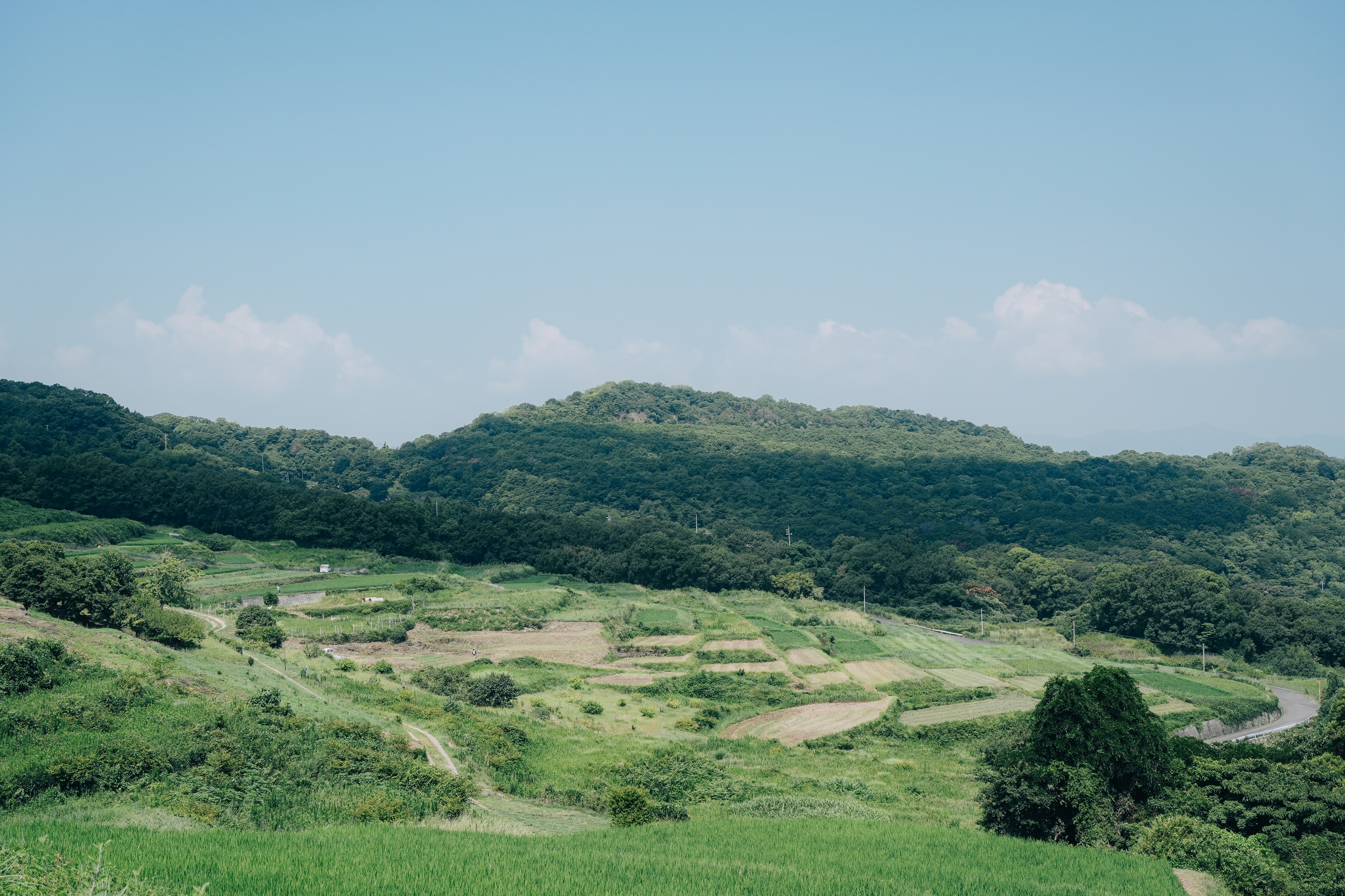 Photo by johnnyho_ho