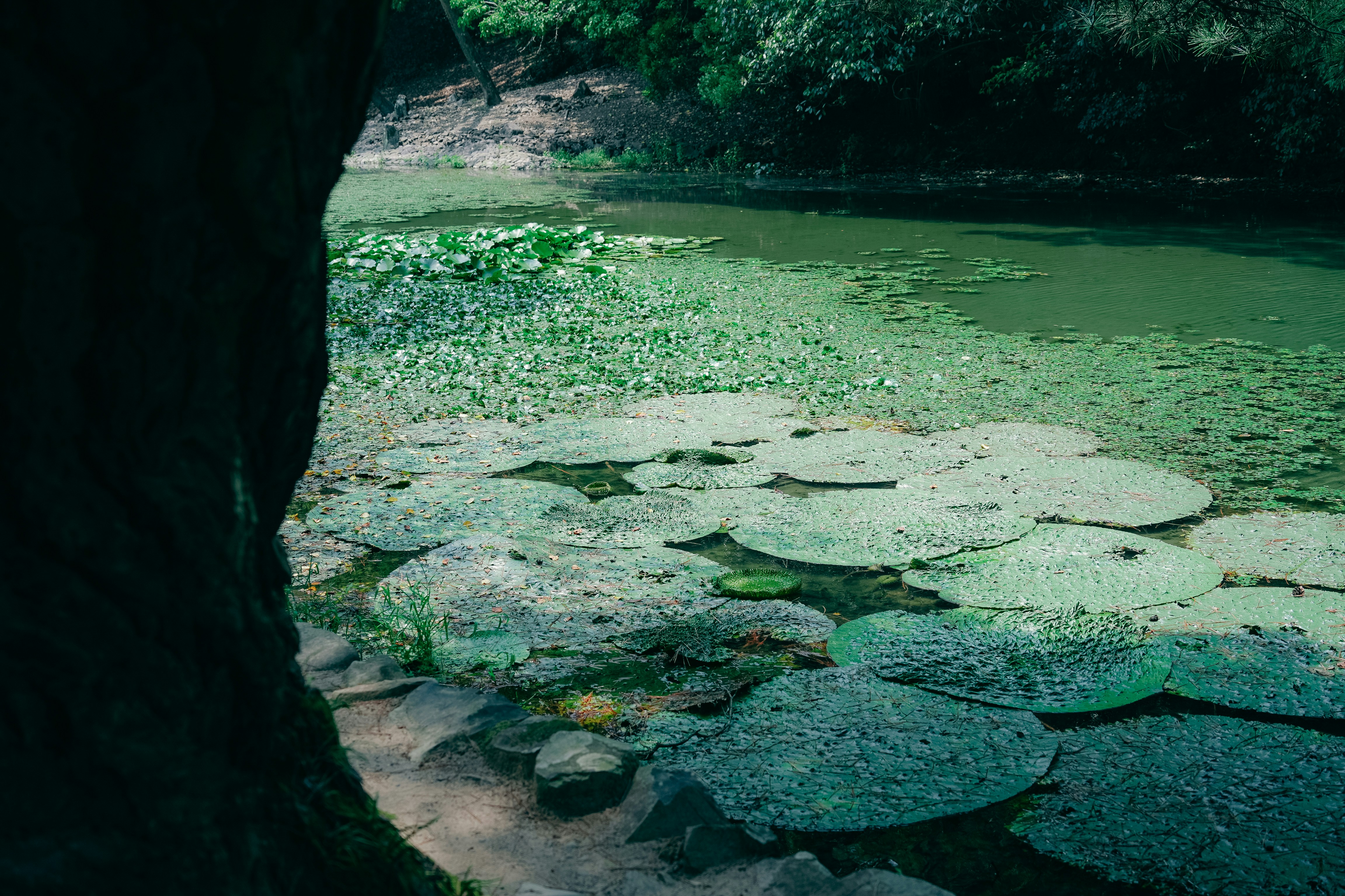 Photo by johnnyho_ho