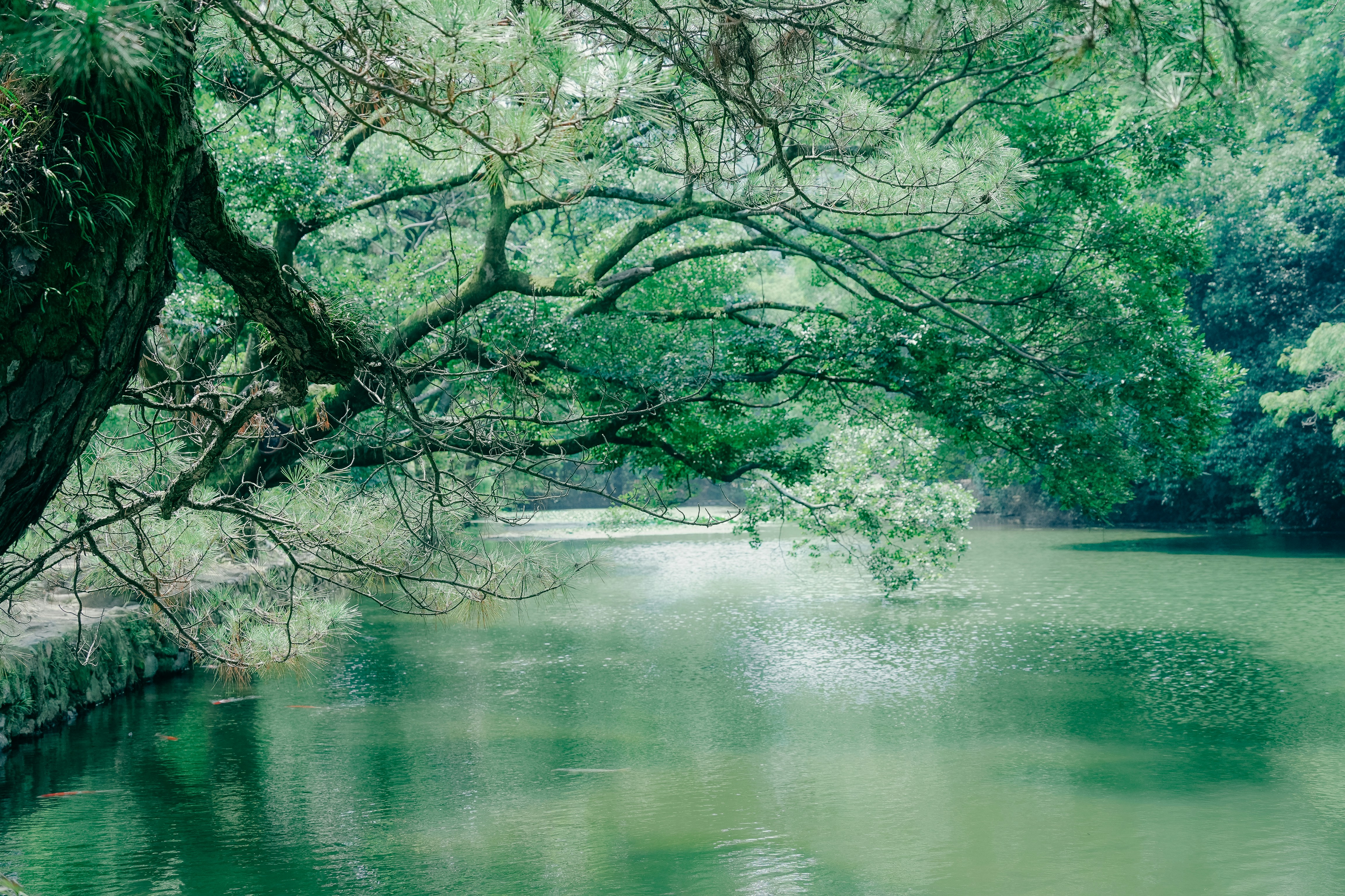 Photo by johnnyho_ho