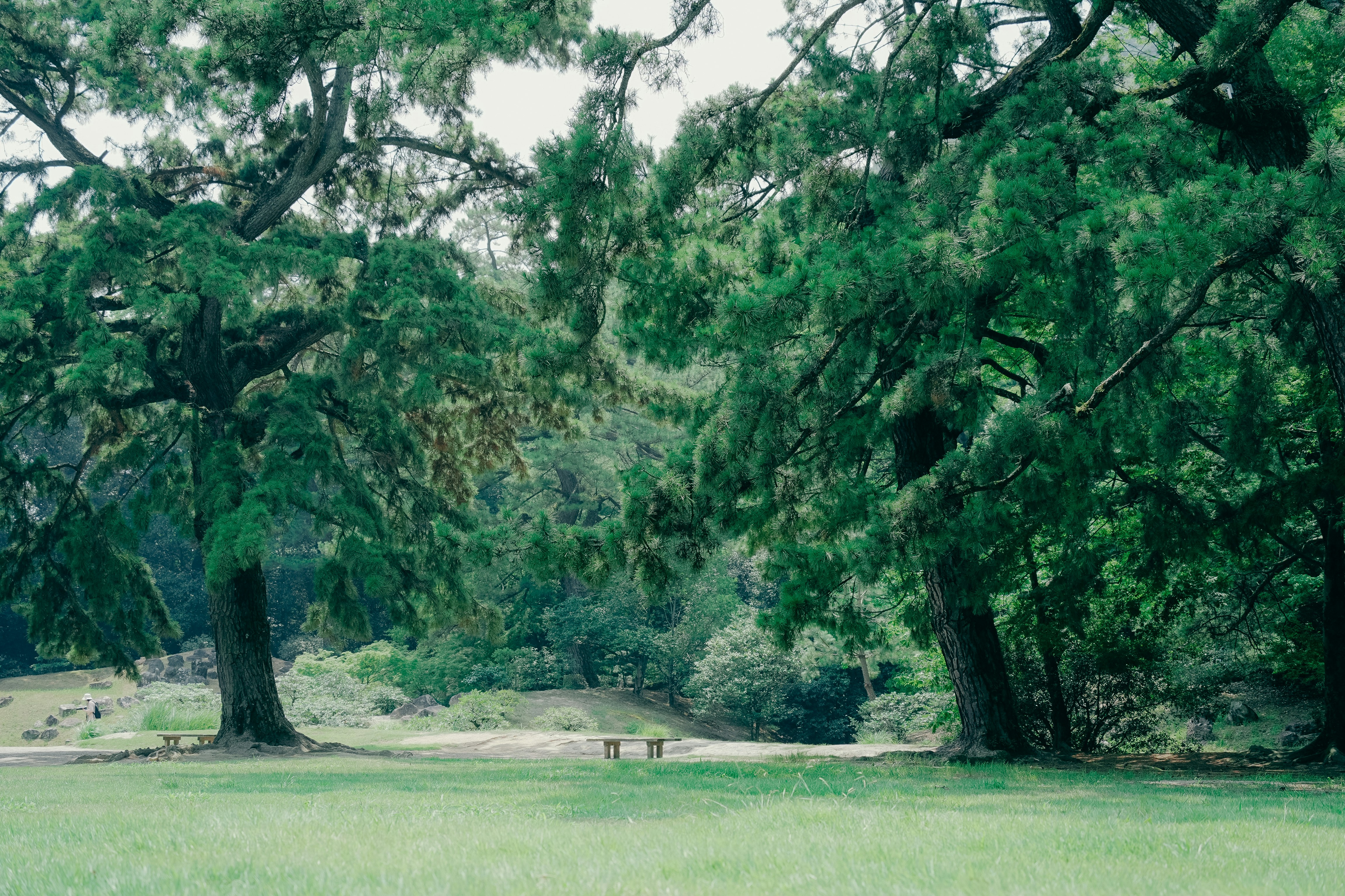 Photo by johnnyho_ho