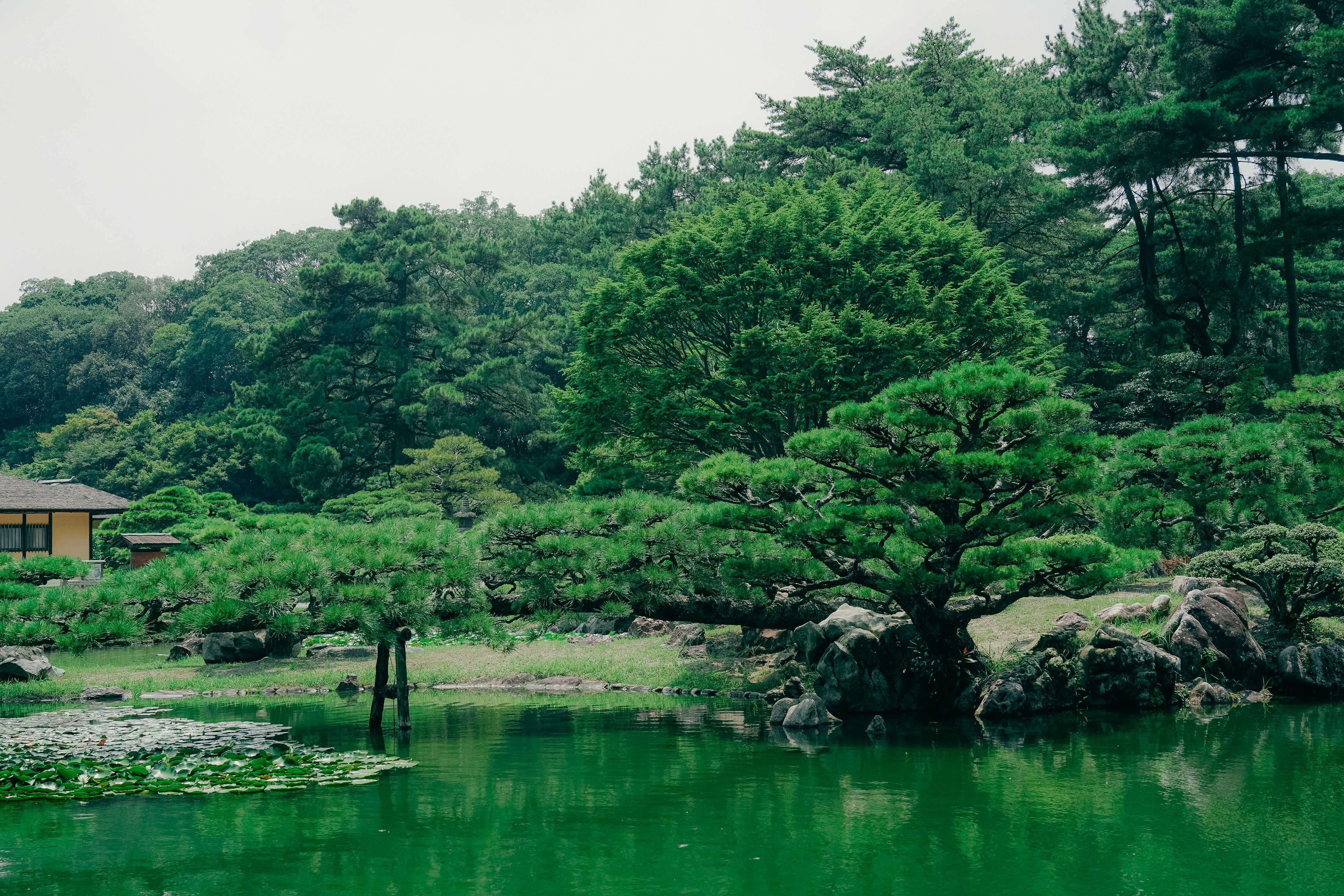 Photo by johnnyho_ho