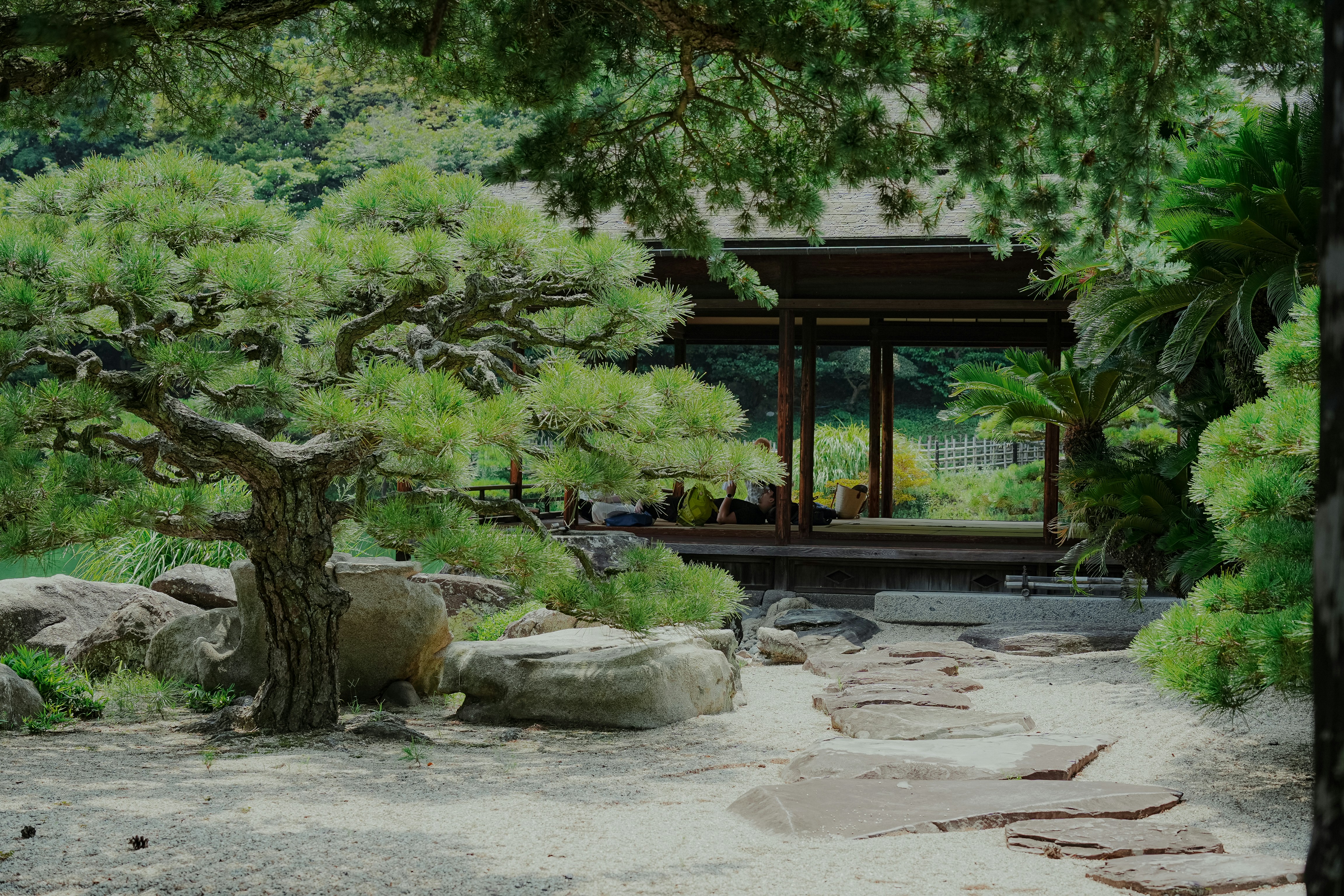 Photo by johnnyho_ho