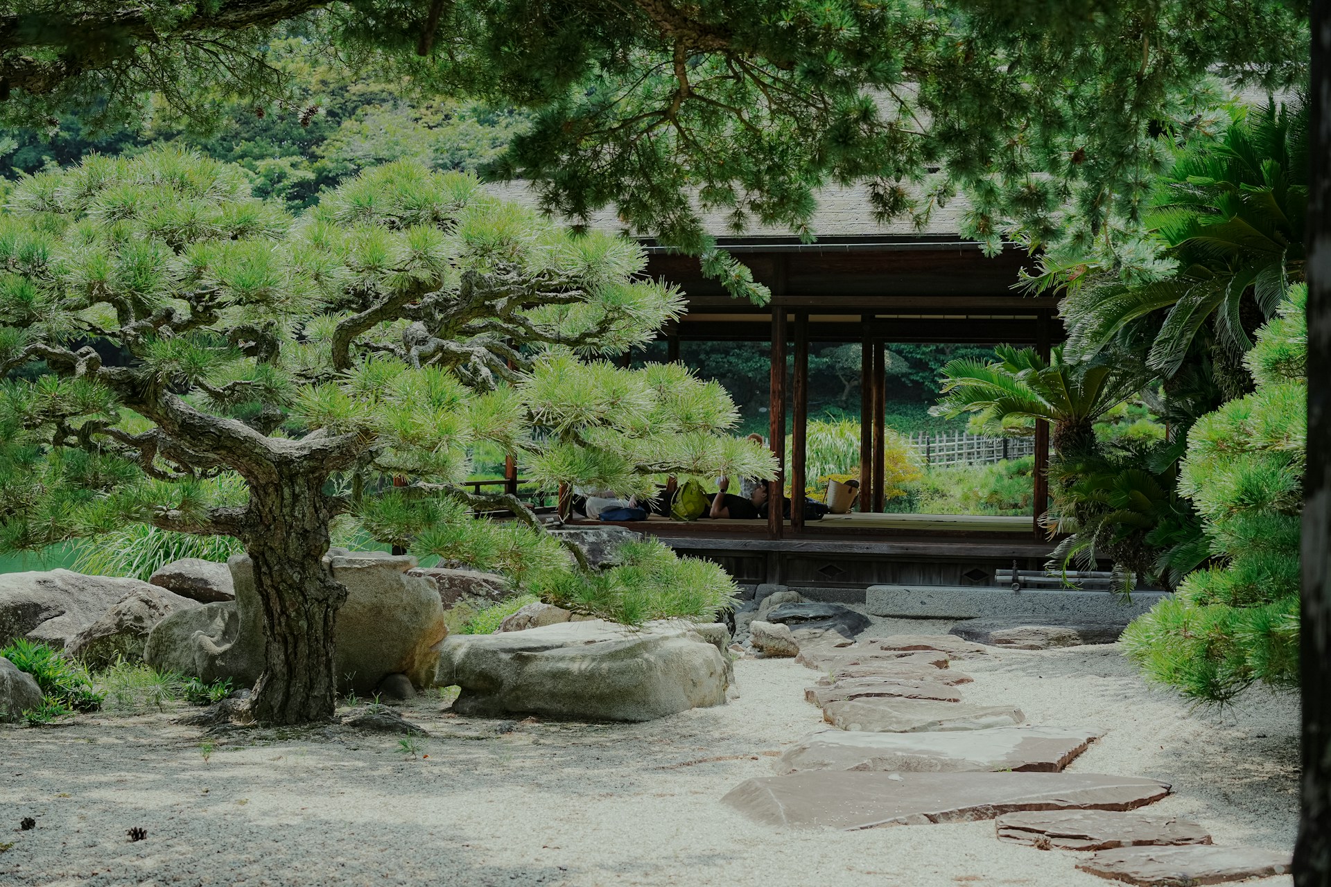 Stone path through a tranquil japanese garden with pavilion.