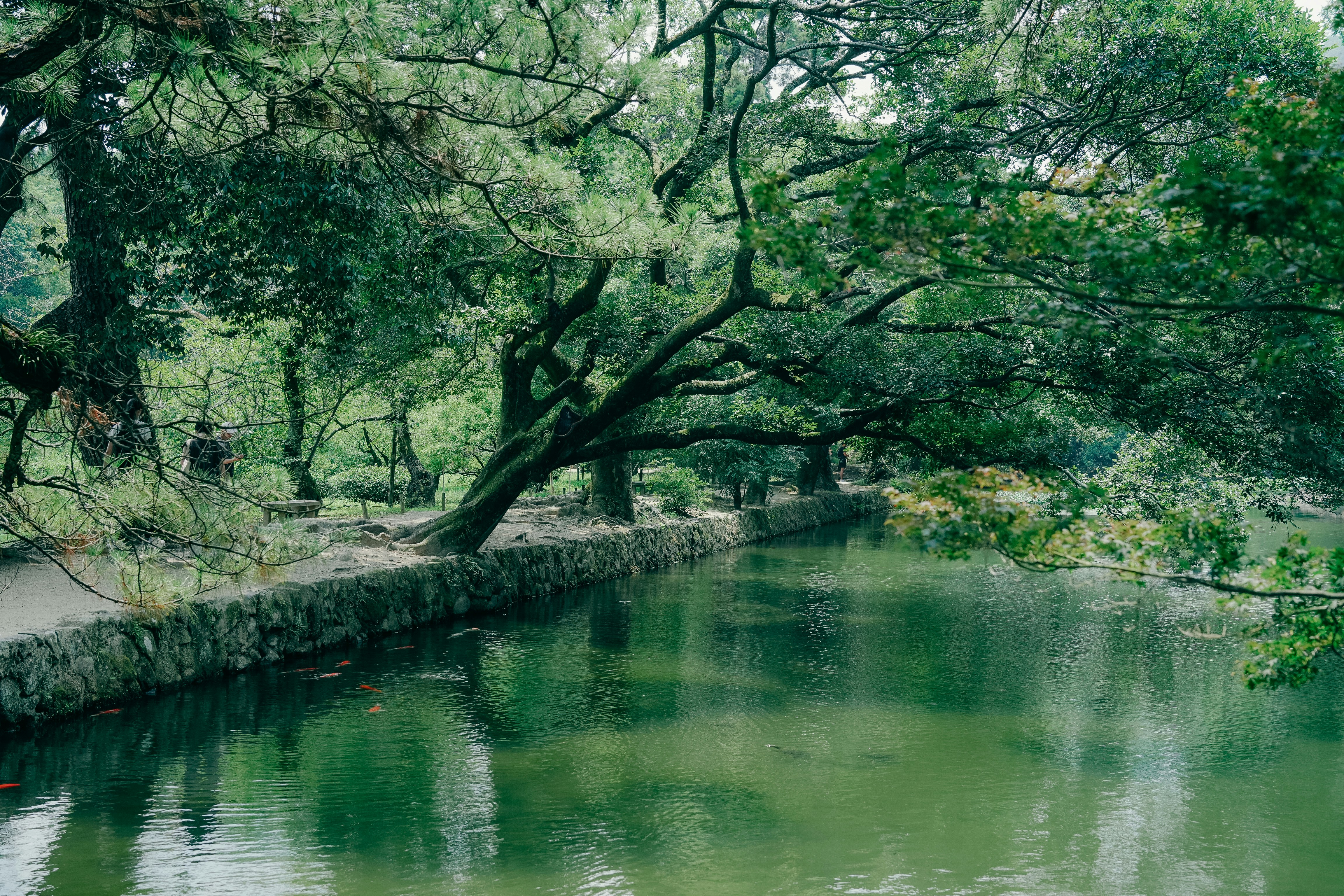 Photo by johnnyho_ho