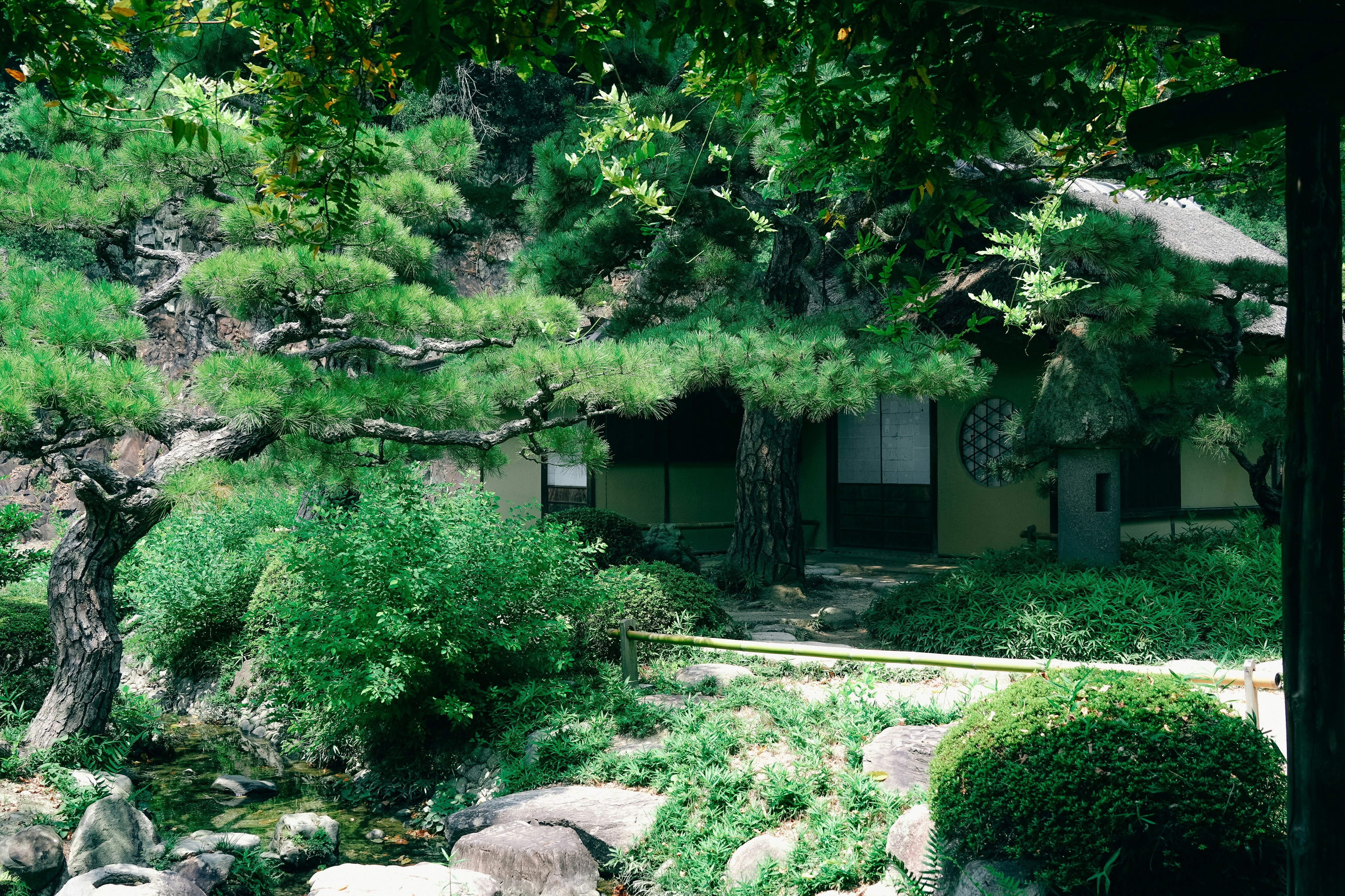 Photo by johnnyho_ho