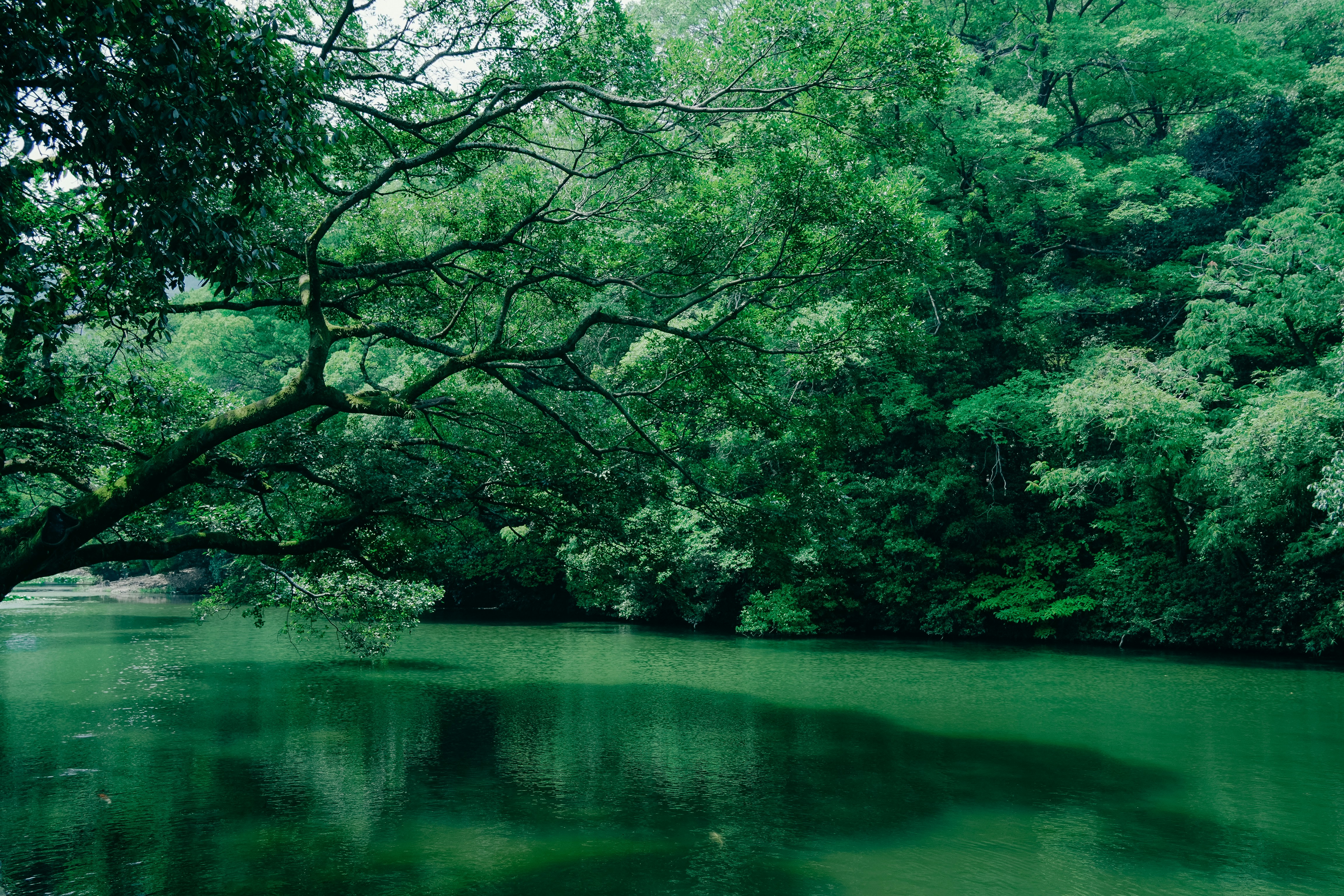 Photo by johnnyho_ho