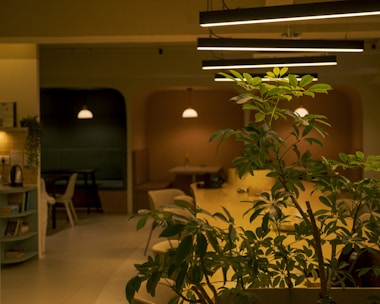 Interior of a modern lounge with plants and warm lighting